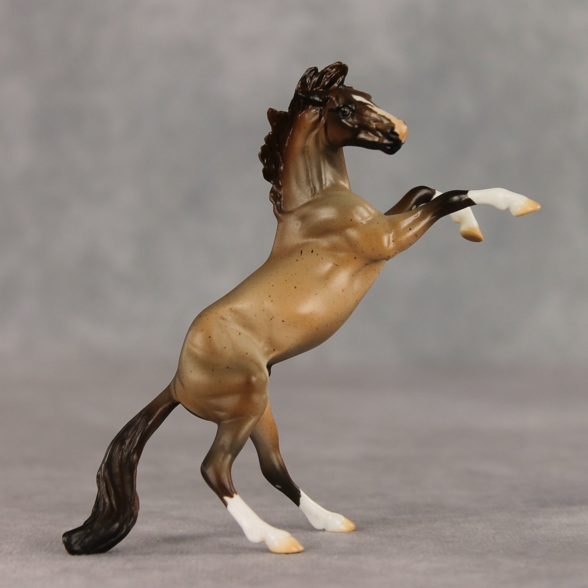 Marcos LE-5 Chip Mustang by Julie Keim March $99 Chips