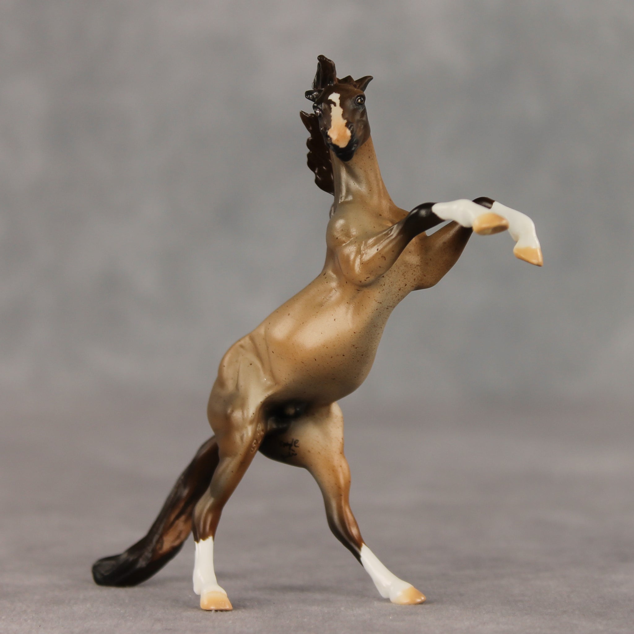 Marcos LE-5 Chip Mustang by Julie Keim March $99 Chips