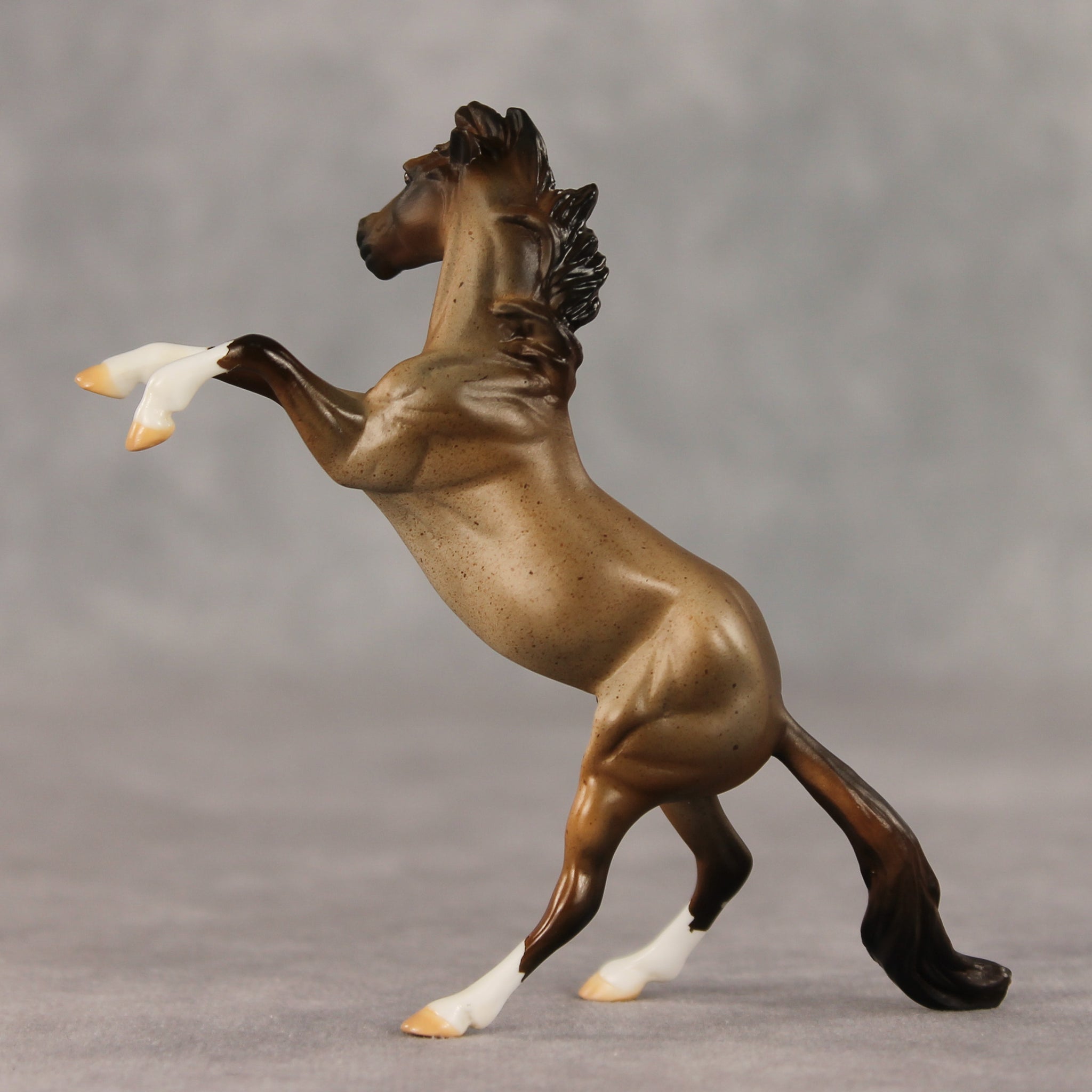 Marcos LE-5 Chip Mustang by Julie Keim March $99 Chips