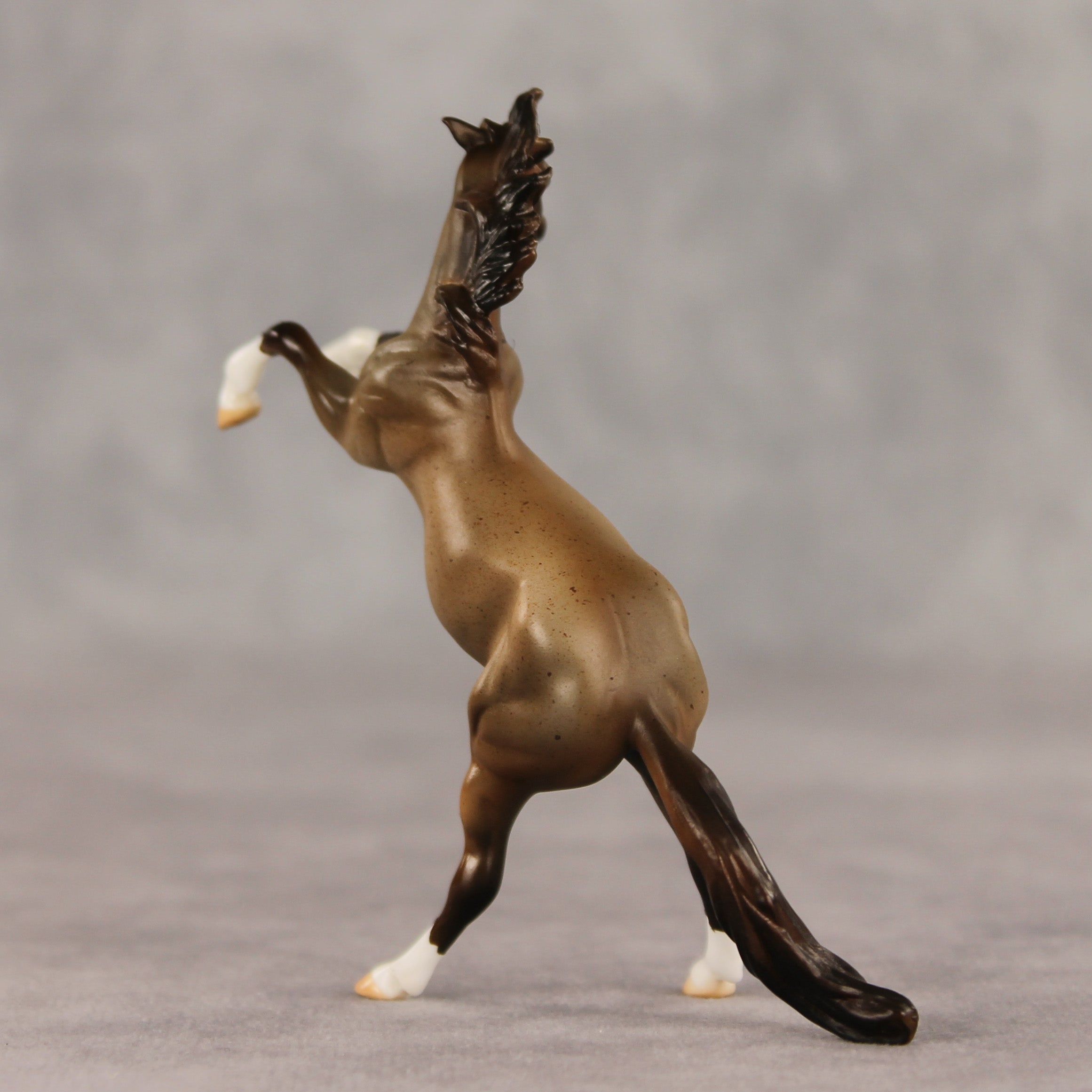 Marcos LE-5 Chip Mustang by Julie Keim March $99 Chips