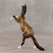 Marcos LE-5 Chip Mustang by Julie Keim March $99 Chips