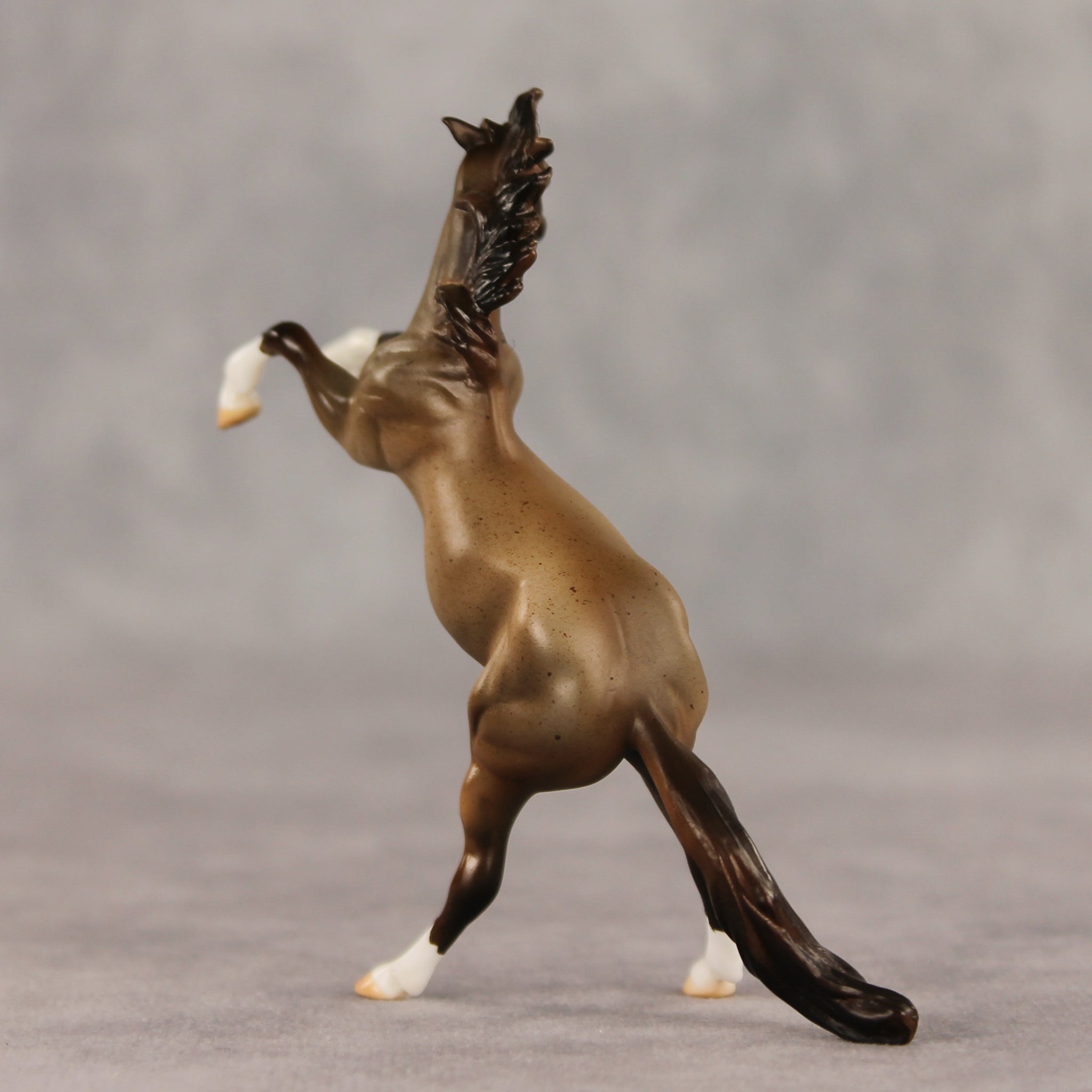 Marcos LE-5 Chip Mustang by Julie Keim March $99 Chips