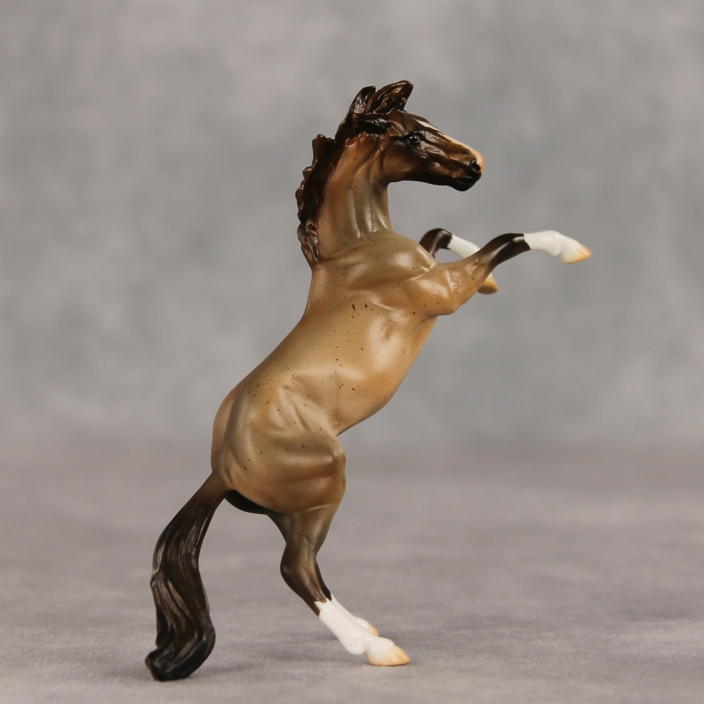Marcos LE-5 Chip Mustang by Julie Keim March $99 Chips