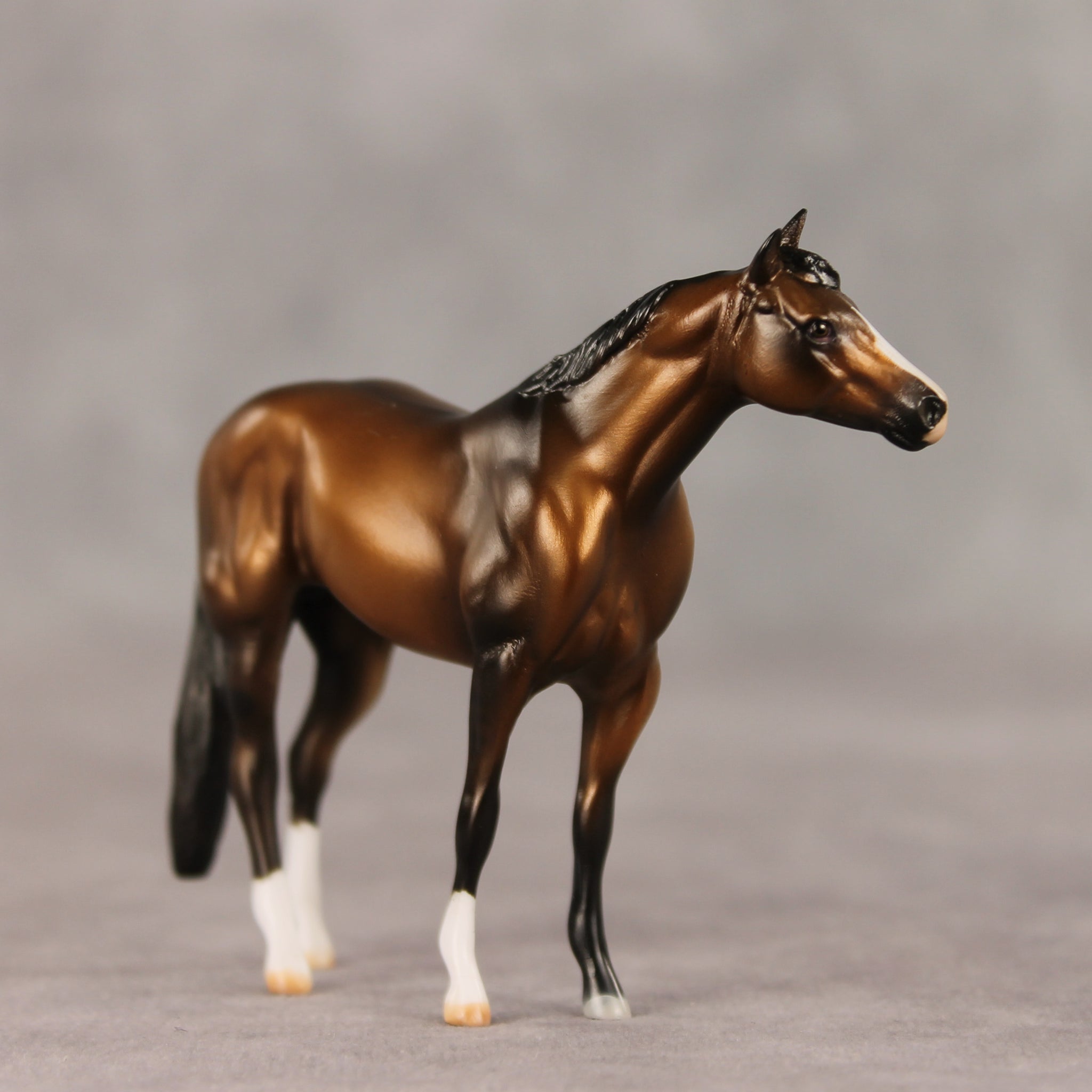 Marius LE-5 Chip Stock Horse by Julie Keim March $99 Chips