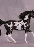 "Ulpia" OOAK Arab Mare by Julie Keim EQ25