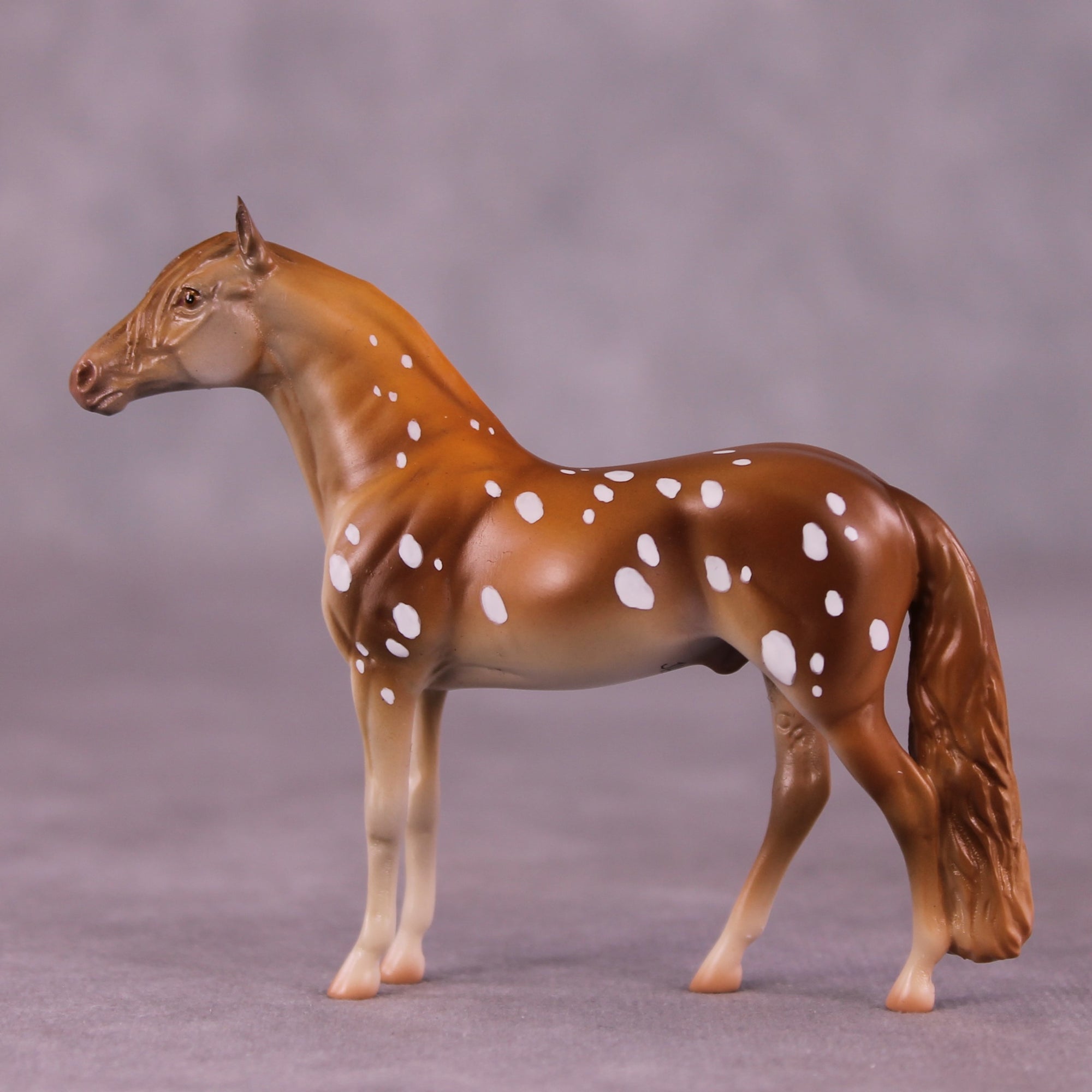 "Robert" OOAK Andalusian Chip by Jess Hamill MS25