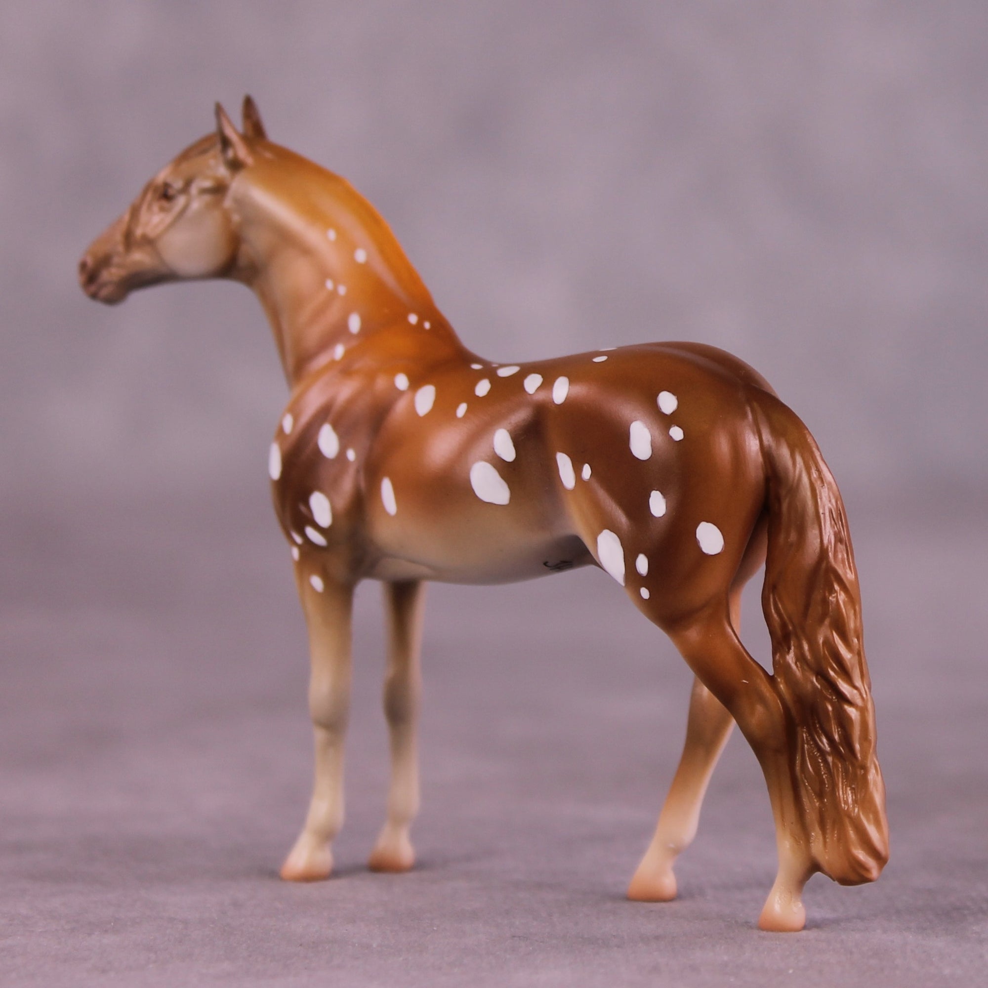"Robert" OOAK Andalusian Chip by Jess Hamill MS25