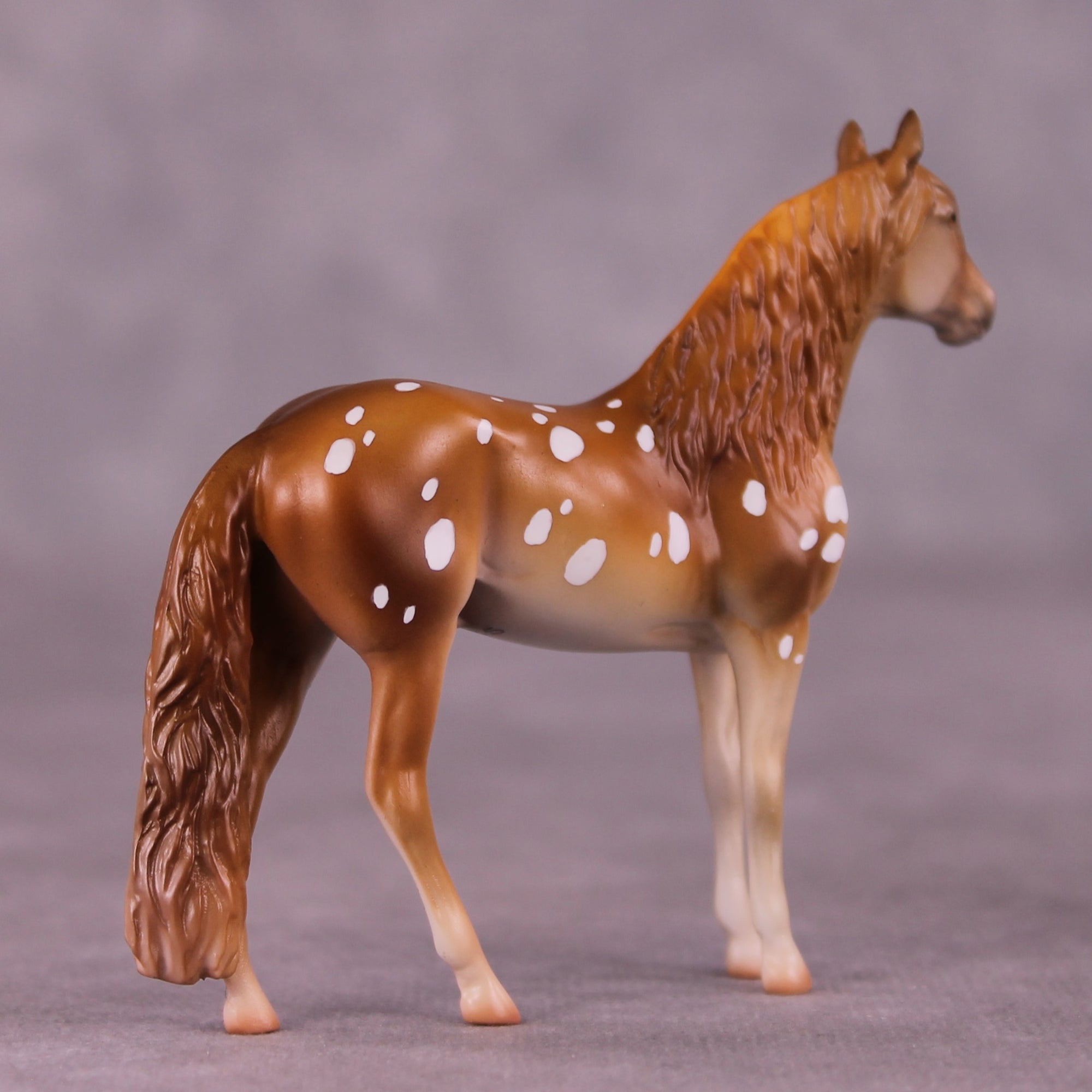 "Robert" OOAK Andalusian Chip by Jess Hamill MS25