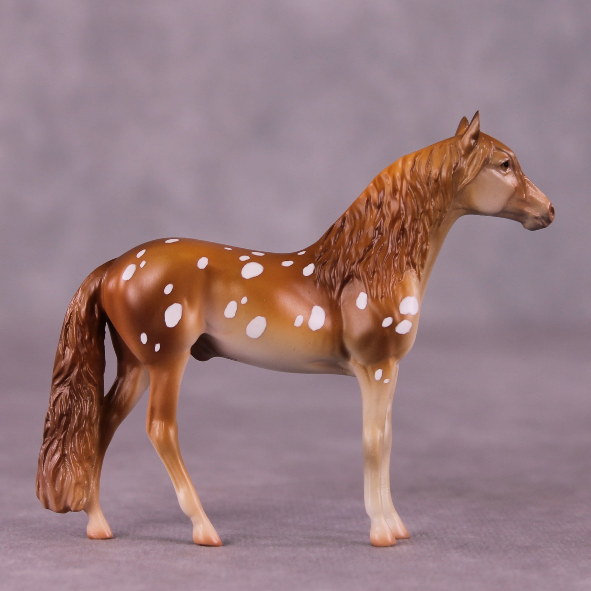 "Robert" OOAK Andalusian Chip by Jess Hamill MS25