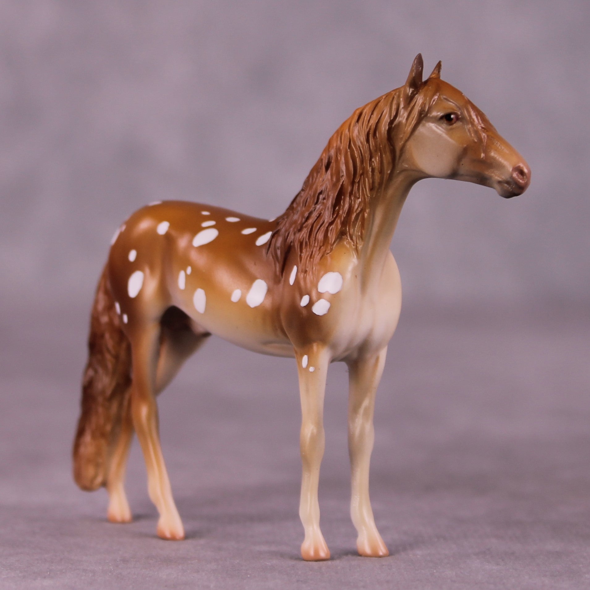 "Robert" OOAK Andalusian Chip by Jess Hamill MS25