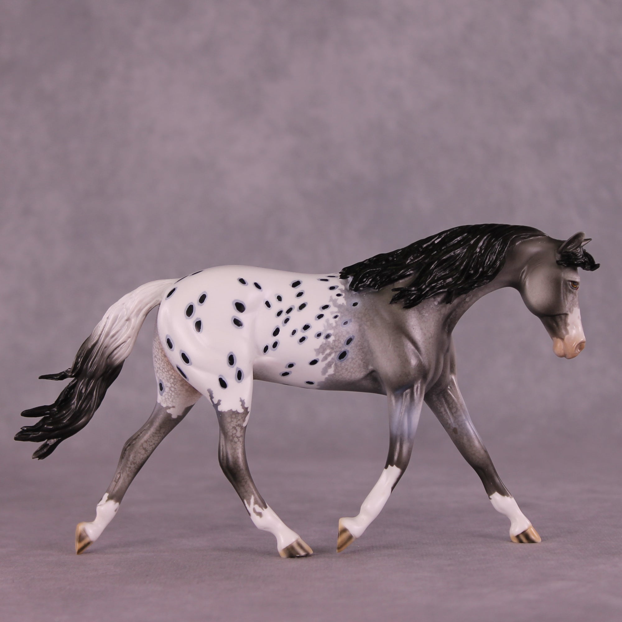 Summer Rain OOAK FCM Pebble Warmblood by Dawn Quick Best Offers LHS25 09/09/2028