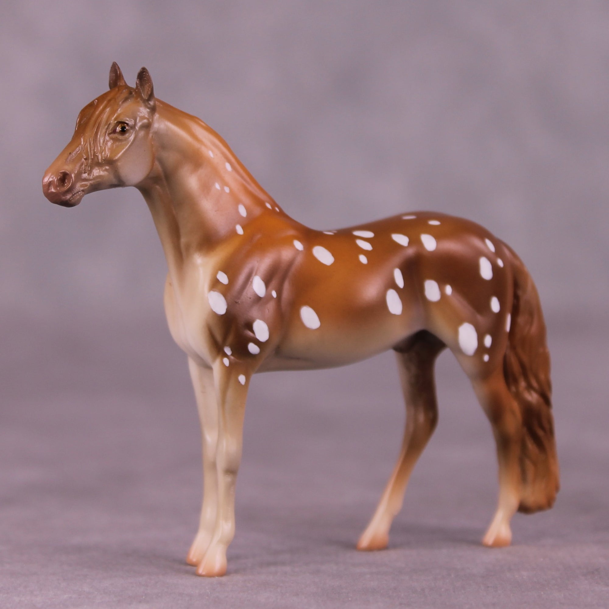 "Robert" OOAK Andalusian Chip by Jess Hamill MS25