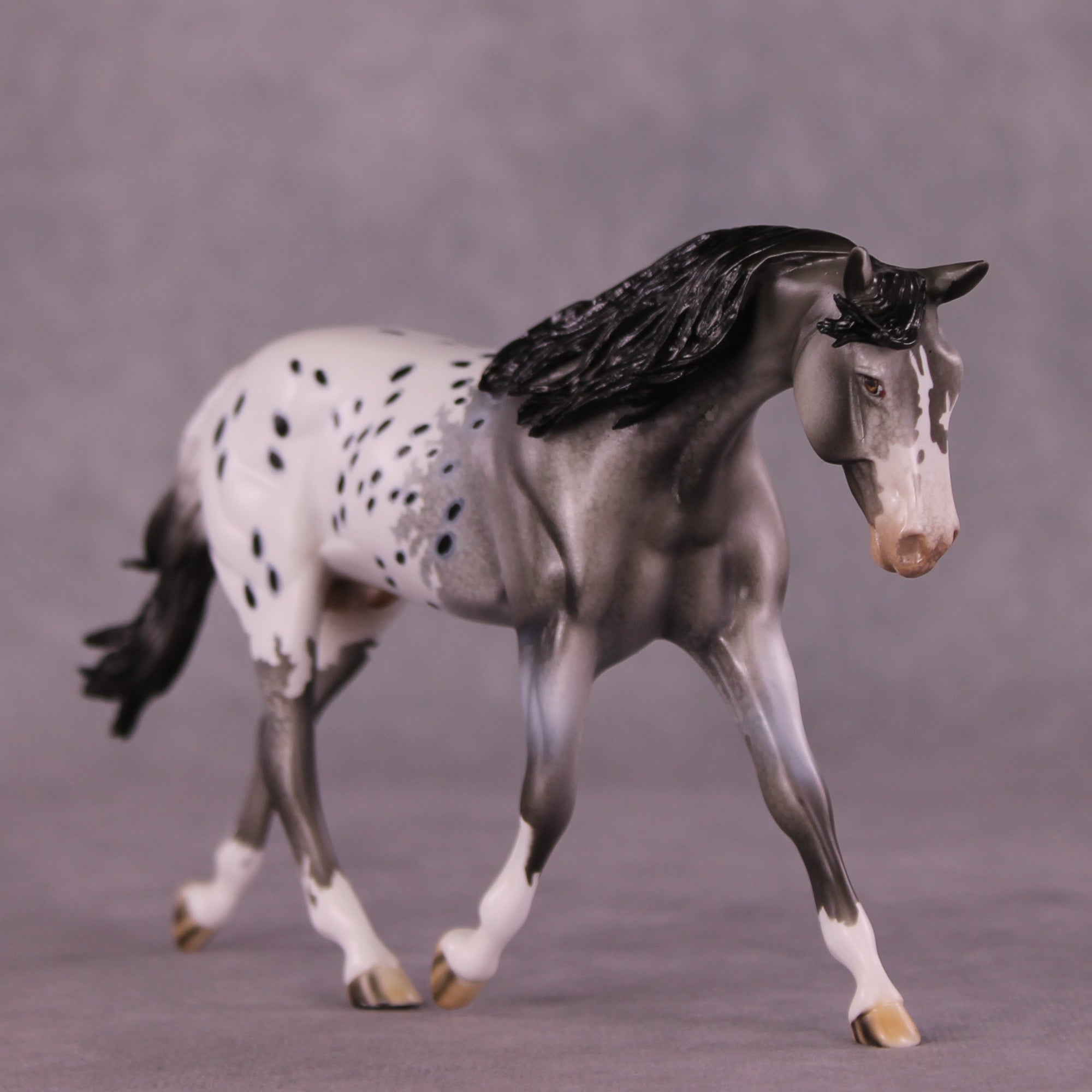 Summer Rain OOAK FCM Pebble Warmblood by Dawn Quick Best Offers LHS25 09/09/2028