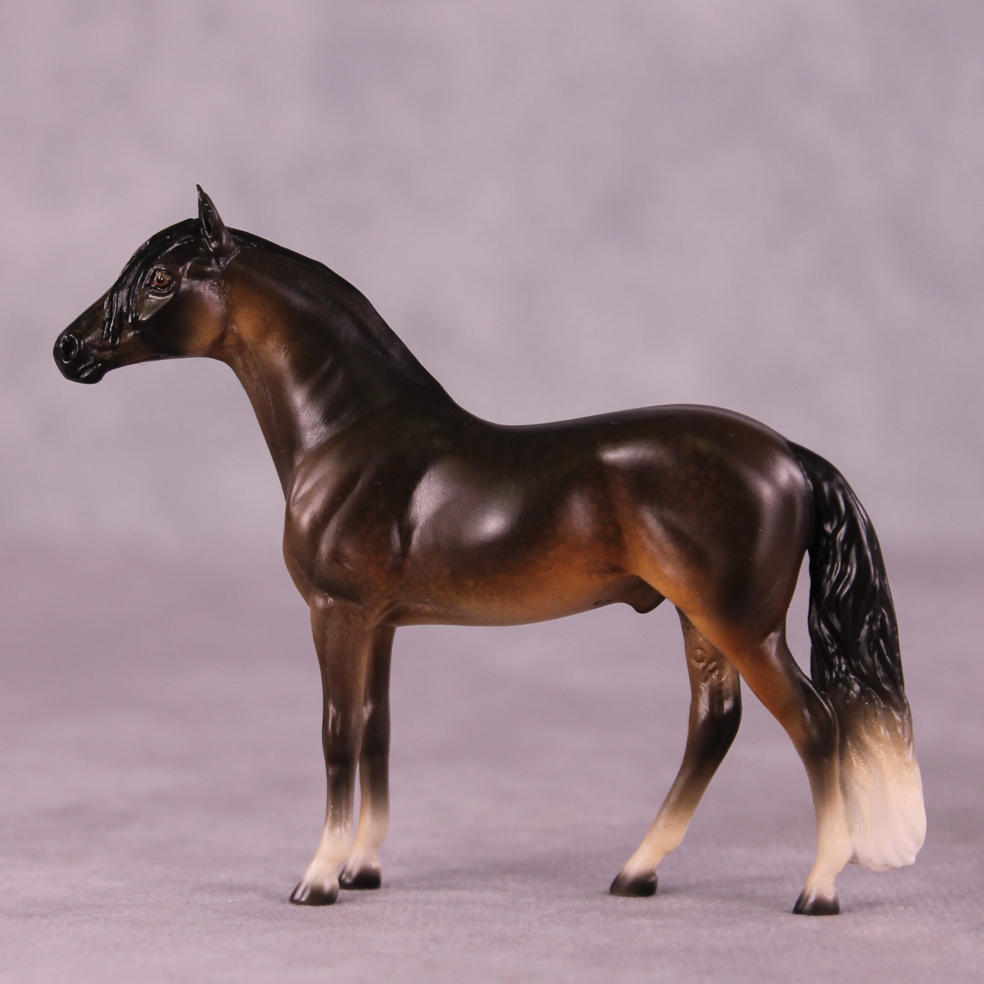 "Irwin" OOAK Andalusian Chip by Jess Hamill MS25