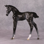 Astoria OOAK Baby Black Etched Star Arab Foal by Ashley Palmer HS24