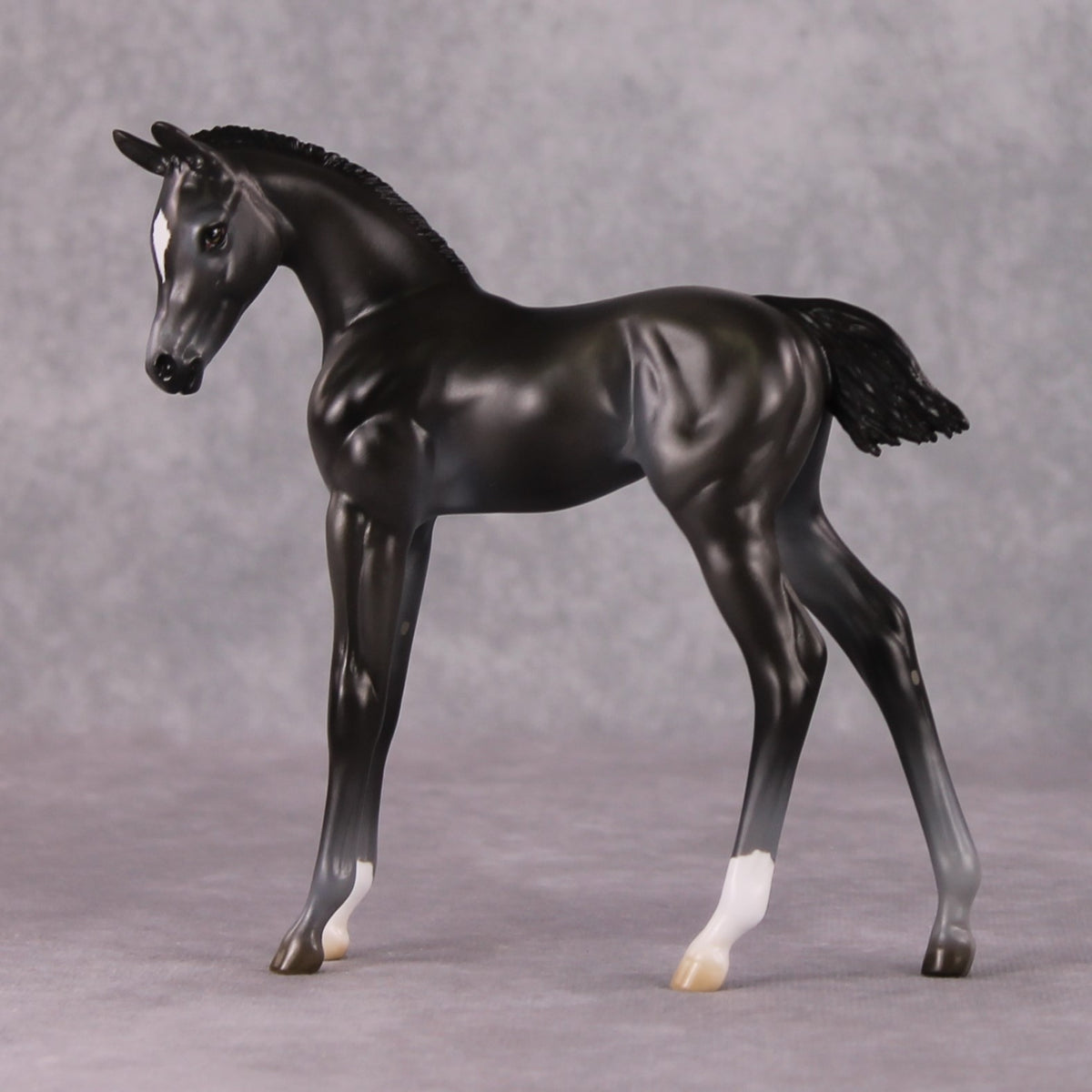Astoria OOAK Baby Black Etched Star Arab Foal by Ashley Palmer HS24