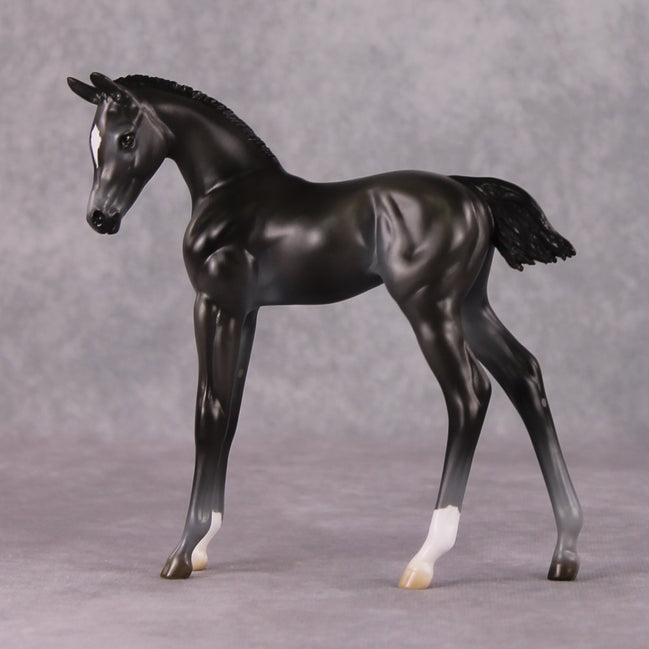 Astoria OOAK Baby Black Etched Star Arab Foal by Ashley Palmer HS24