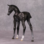 Astoria OOAK Baby Black Etched Star Arab Foal by Ashley Palmer HS24