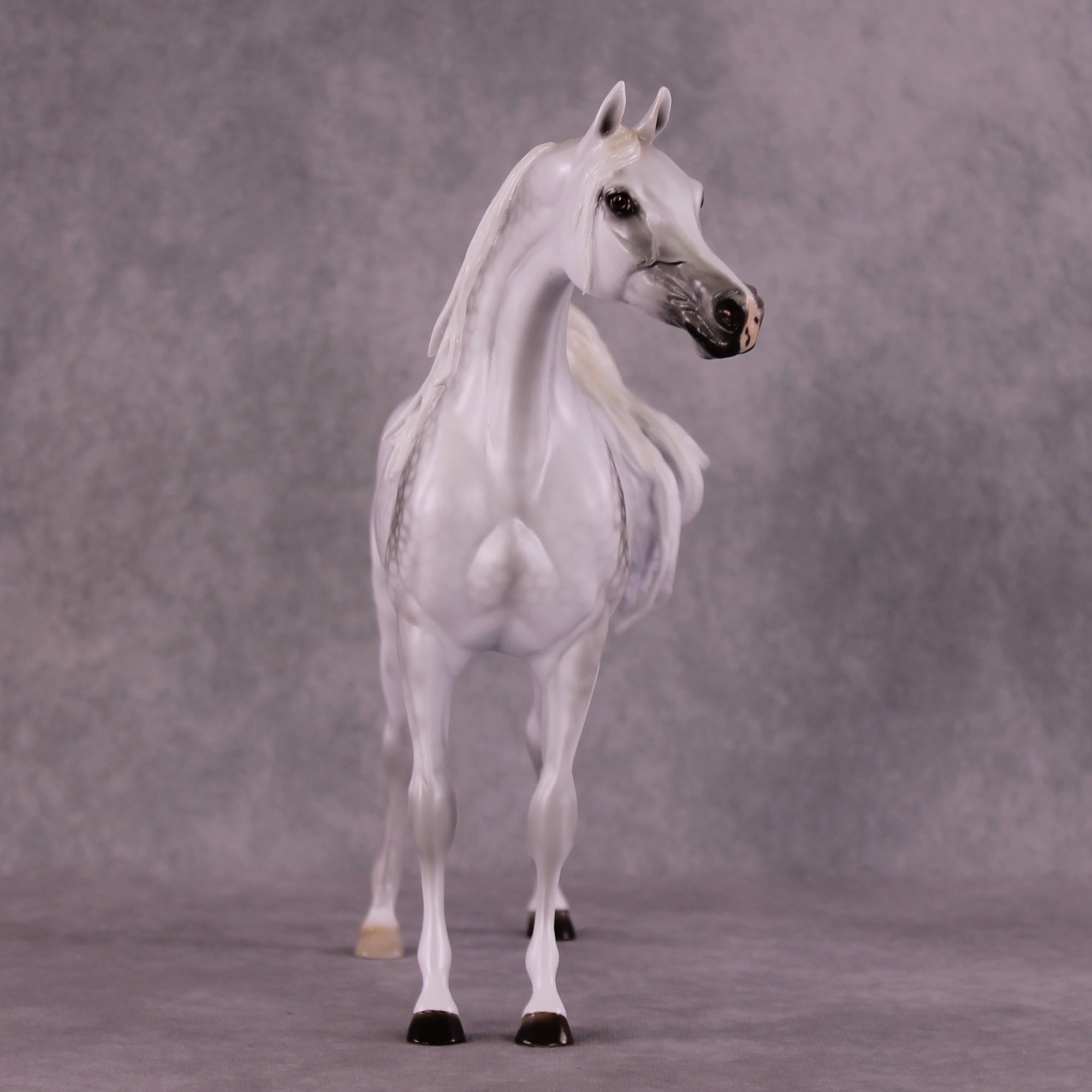 "Moonglow" OOAK FCM Arabian by Ellen Robbins EQ25 Best Offer 07/15/25