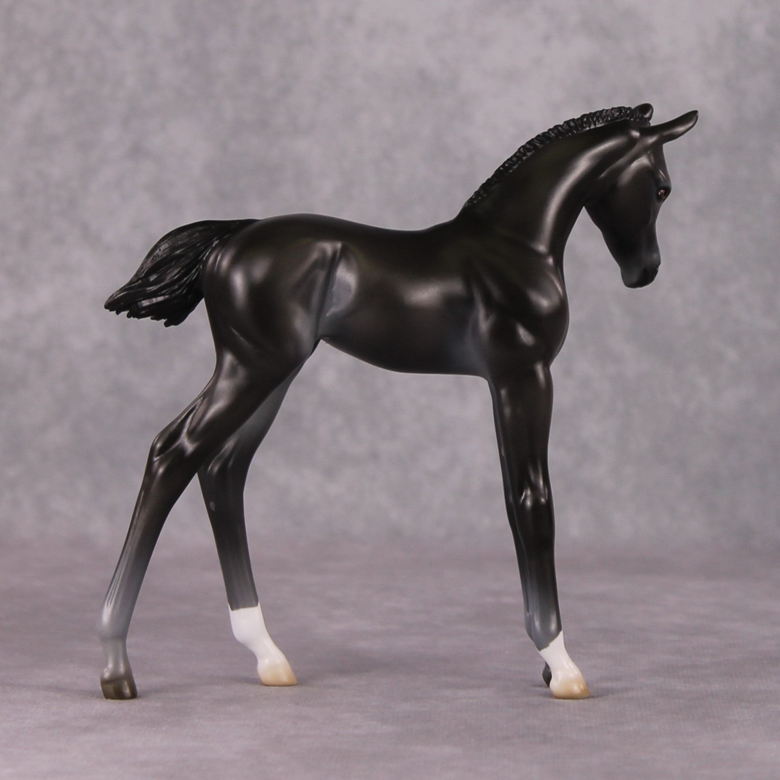 Astoria OOAK Baby Black Etched Star Arab Foal by Ashley Palmer HS24