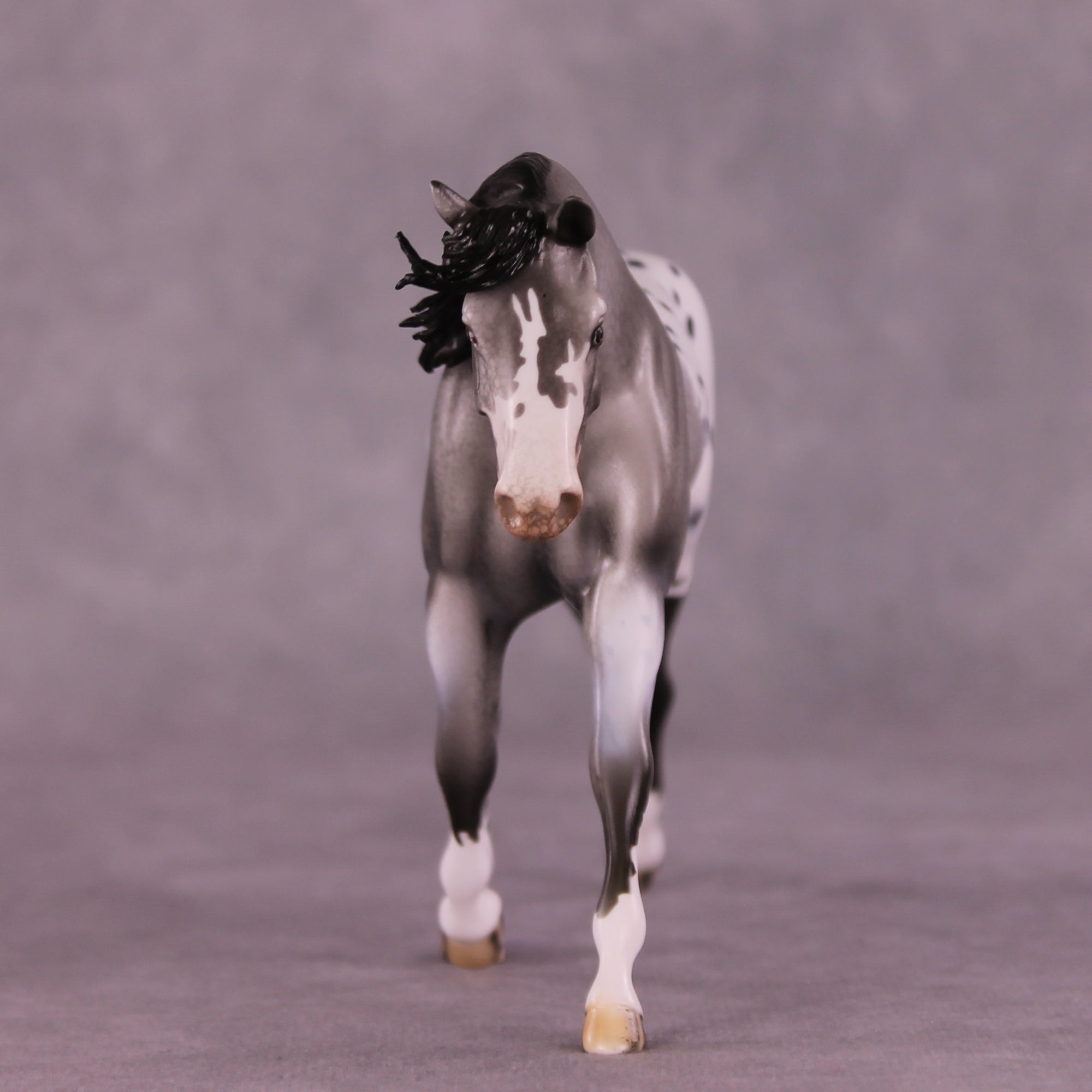 Summer Rain OOAK FCM Pebble Warmblood by Dawn Quick Best Offers LHS25 09/09/2028