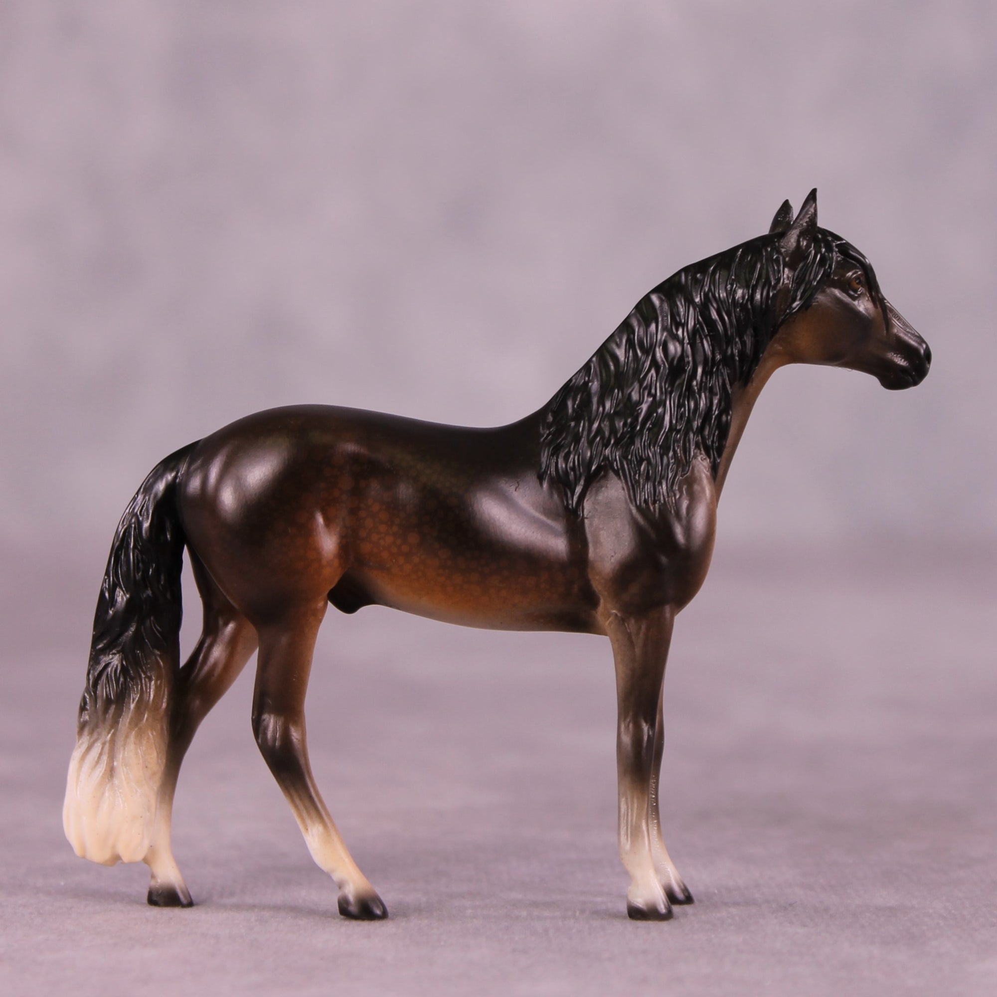 "Irwin" OOAK Andalusian Chip by Jess Hamill MS25