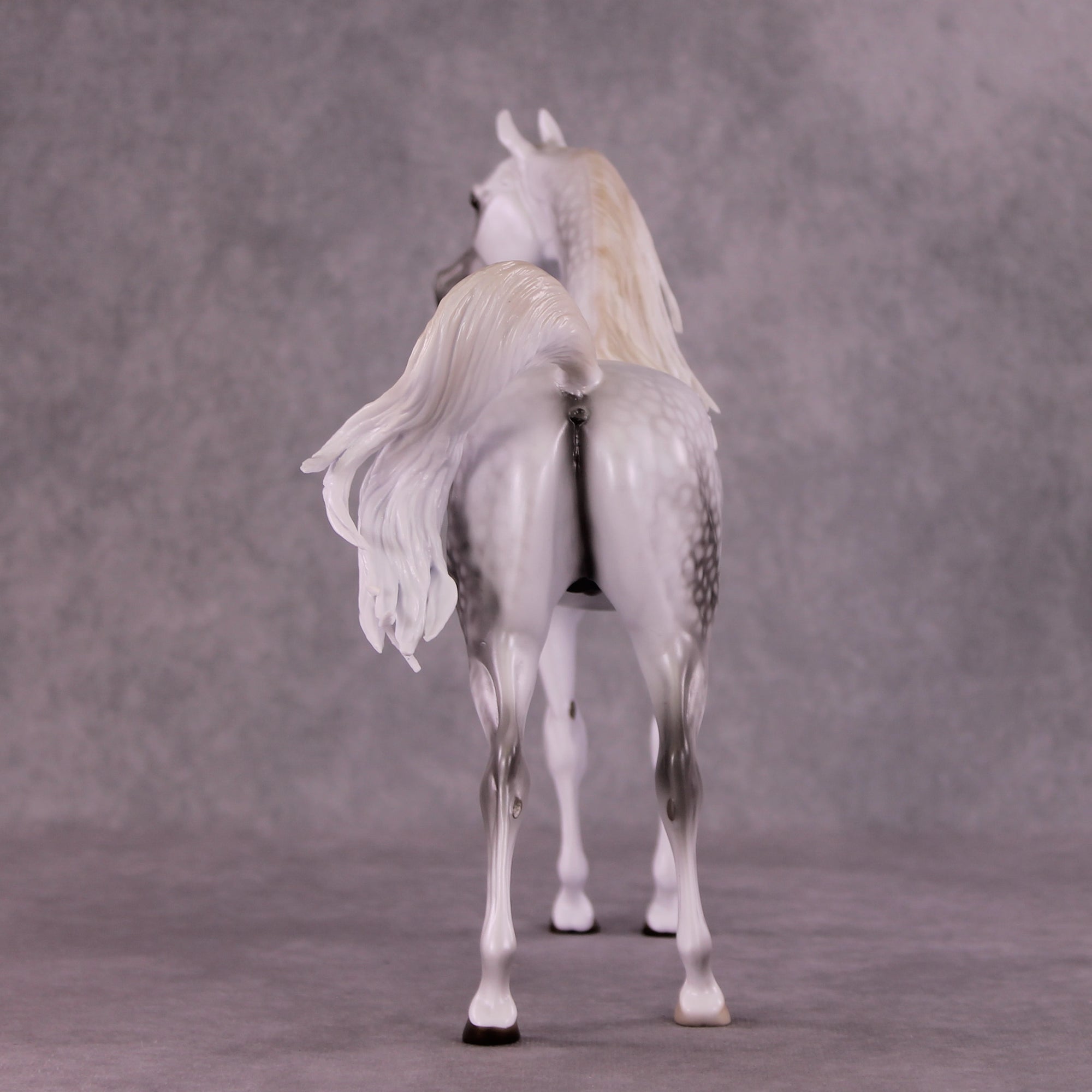 "Moonglow" OOAK FCM Arabian by Ellen Robbins EQ25 Best Offer 07/15/25