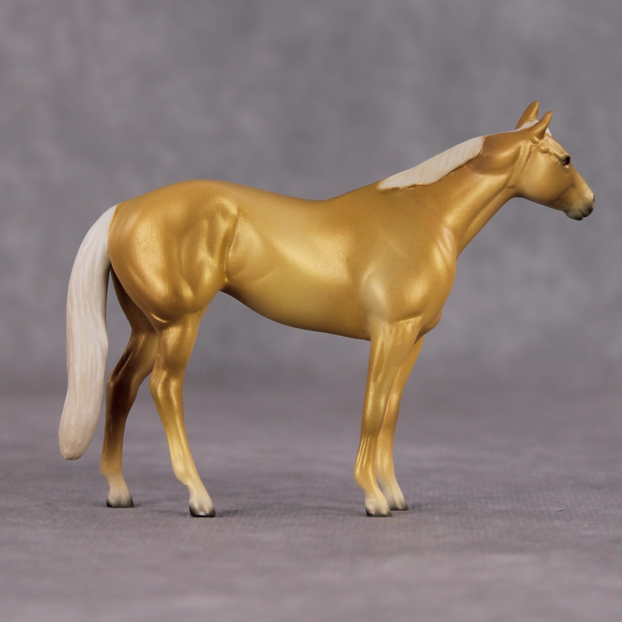 "Mini Aali" LE-11 FCM Stock Chip By Jess Hamill SHCF25 Dinner Model