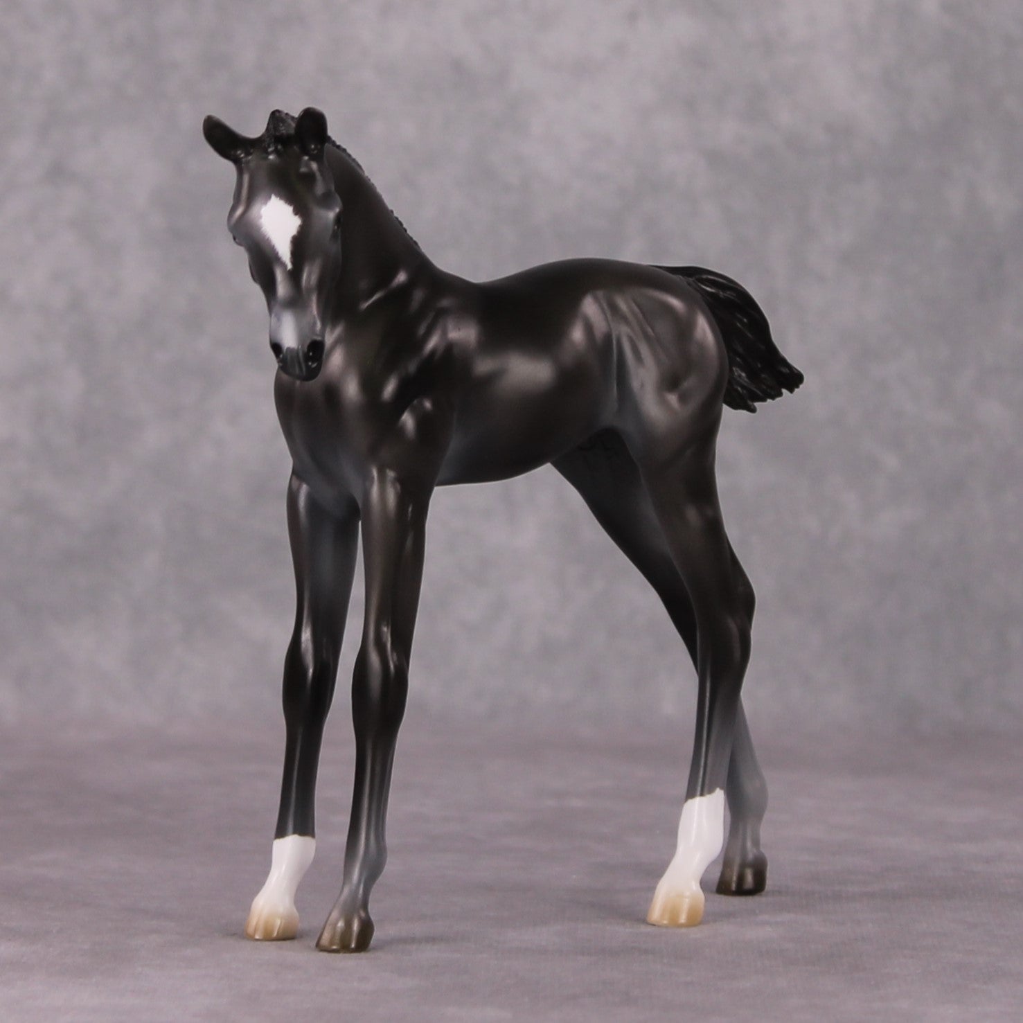 Astoria OOAK Baby Black Etched Star Arab Foal by Ashley Palmer HS24