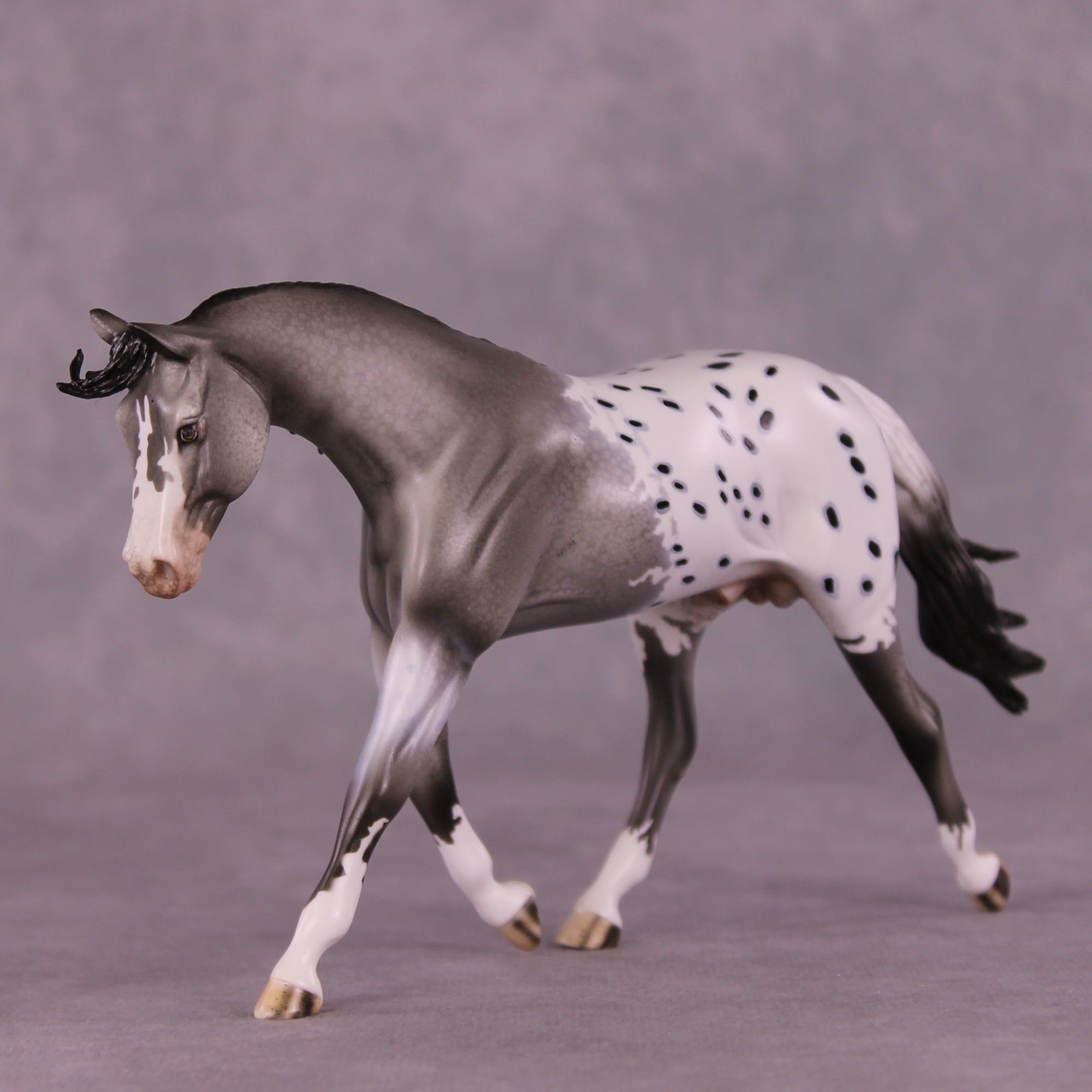 Summer Rain OOAK FCM Pebble Warmblood by Dawn Quick Best Offers LHS25 09/09/2028