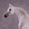 &quot;Moonglow&quot; OOAK FCM Arabian by Ellen Robbins EQ25 Best Offer 07/15/25