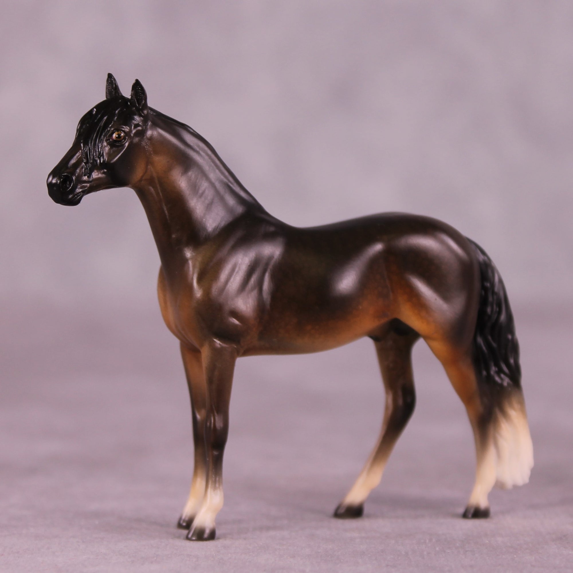 "Irwin" OOAK Andalusian Chip by Jess Hamill MS25