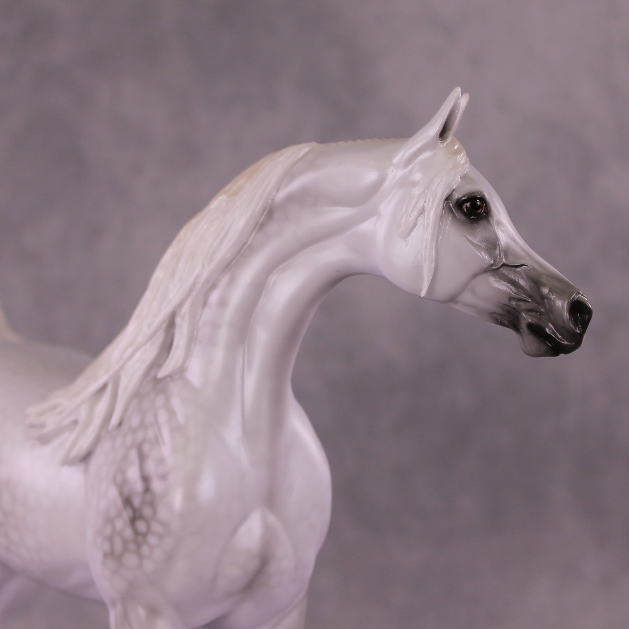 "Moonglow" OOAK FCM Arabian by Ellen Robbins EQ25 Best Offer 07/15/25