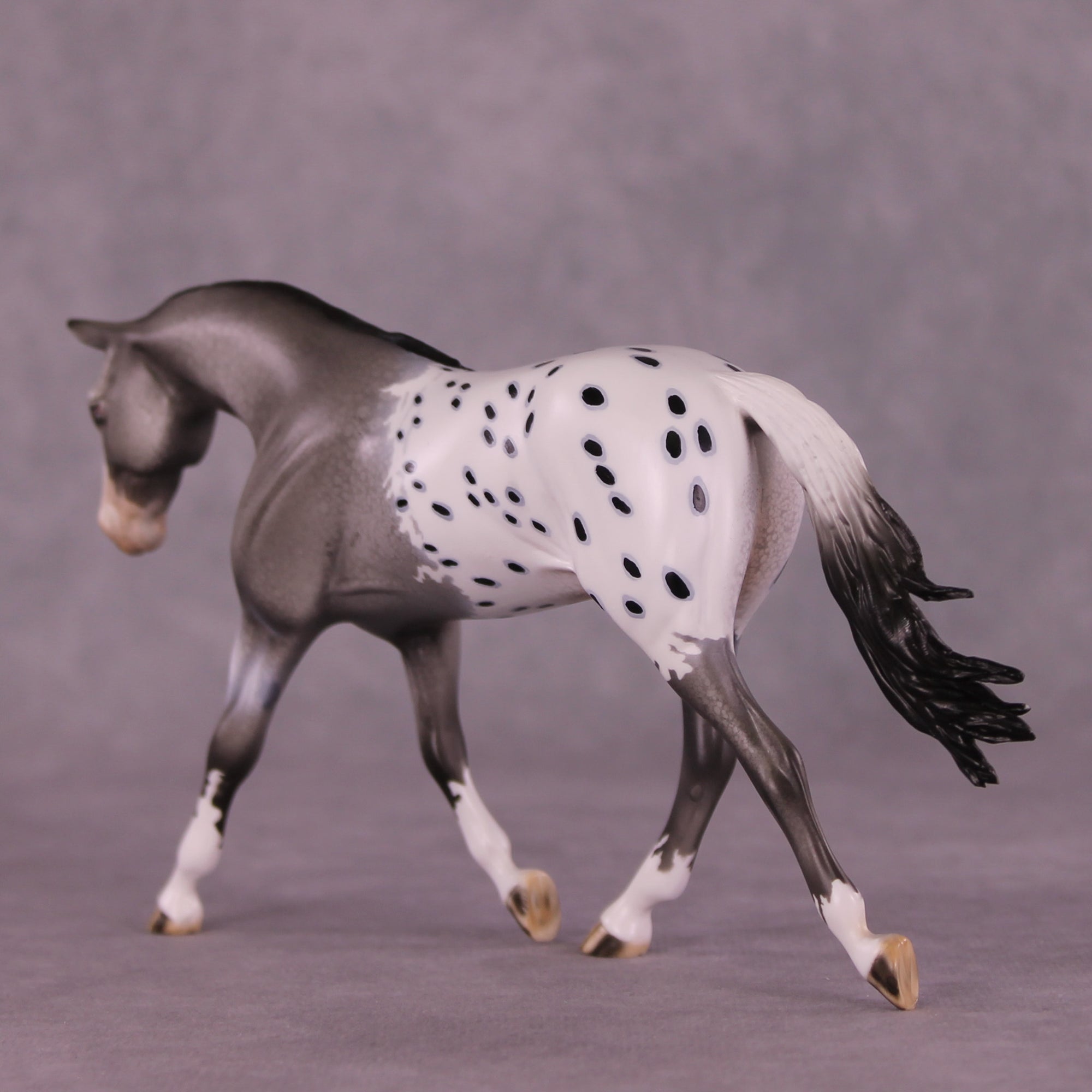 Summer Rain OOAK FCM Pebble Warmblood by Dawn Quick Best Offers LHS25 09/09/2028