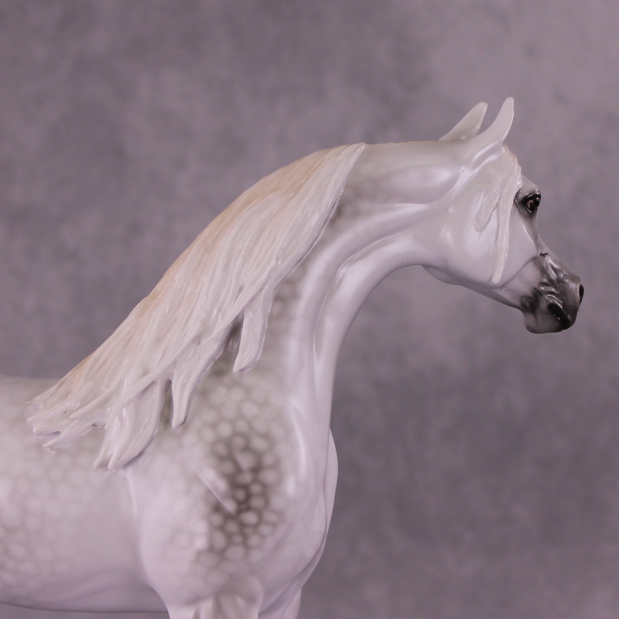 "Moonglow" OOAK FCM Arabian by Ellen Robbins EQ25 Best Offer 07/15/25