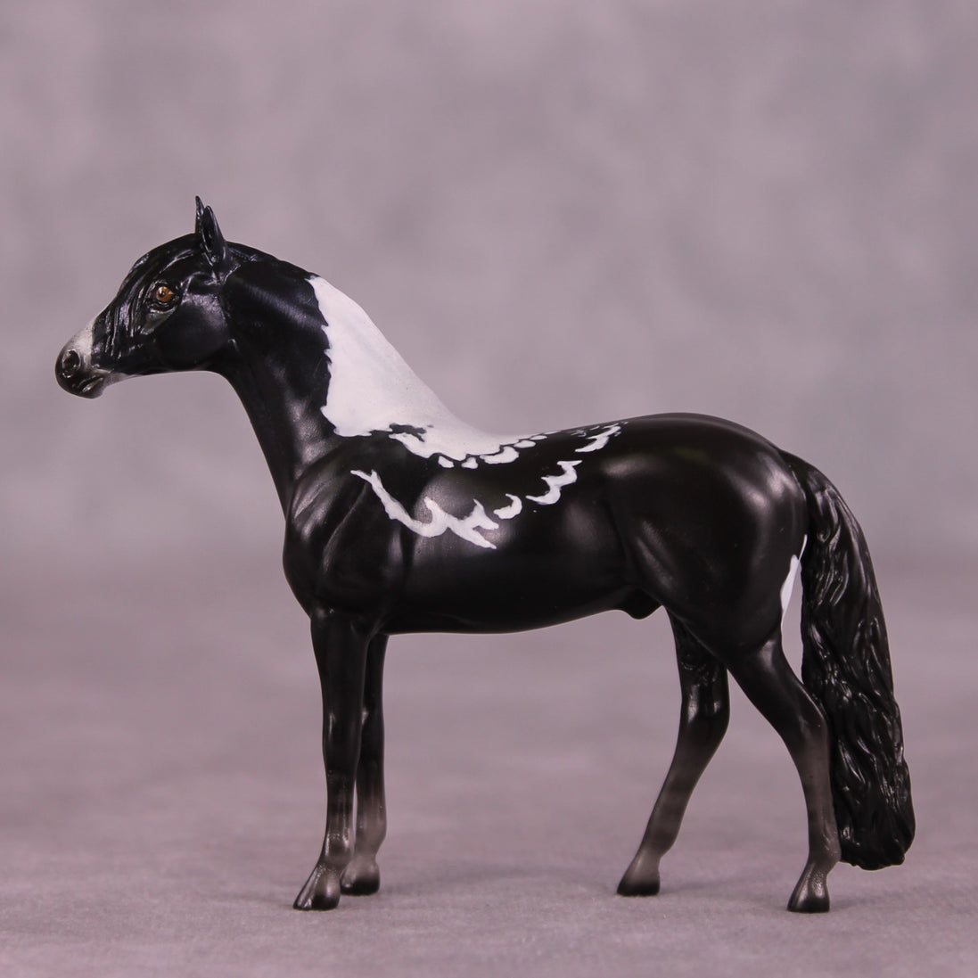 "Birrinbirrin" OOAK Andalusian Chip by Jess Hamill MS25