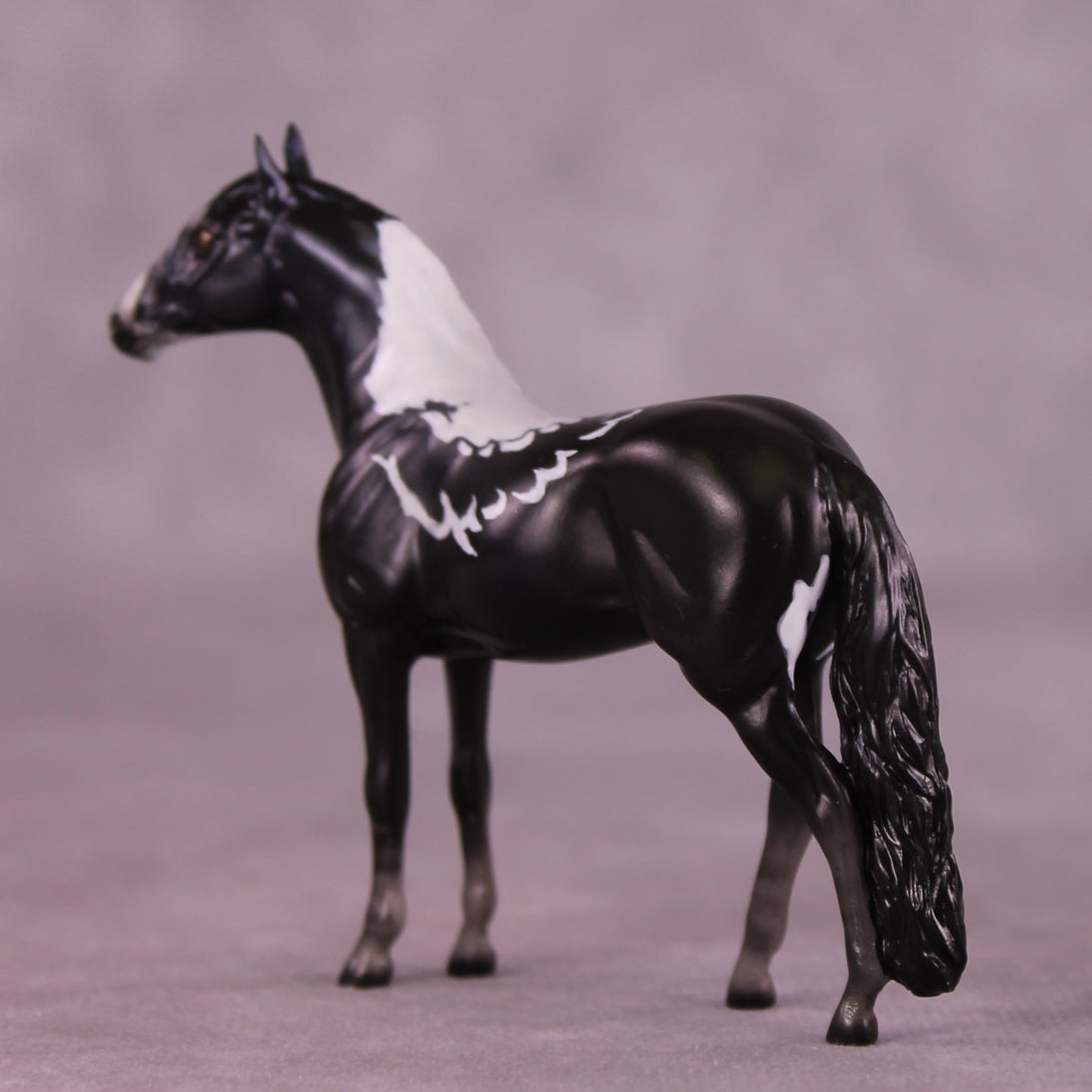 "Birrinbirrin" OOAK Andalusian Chip by Jess Hamill MS25