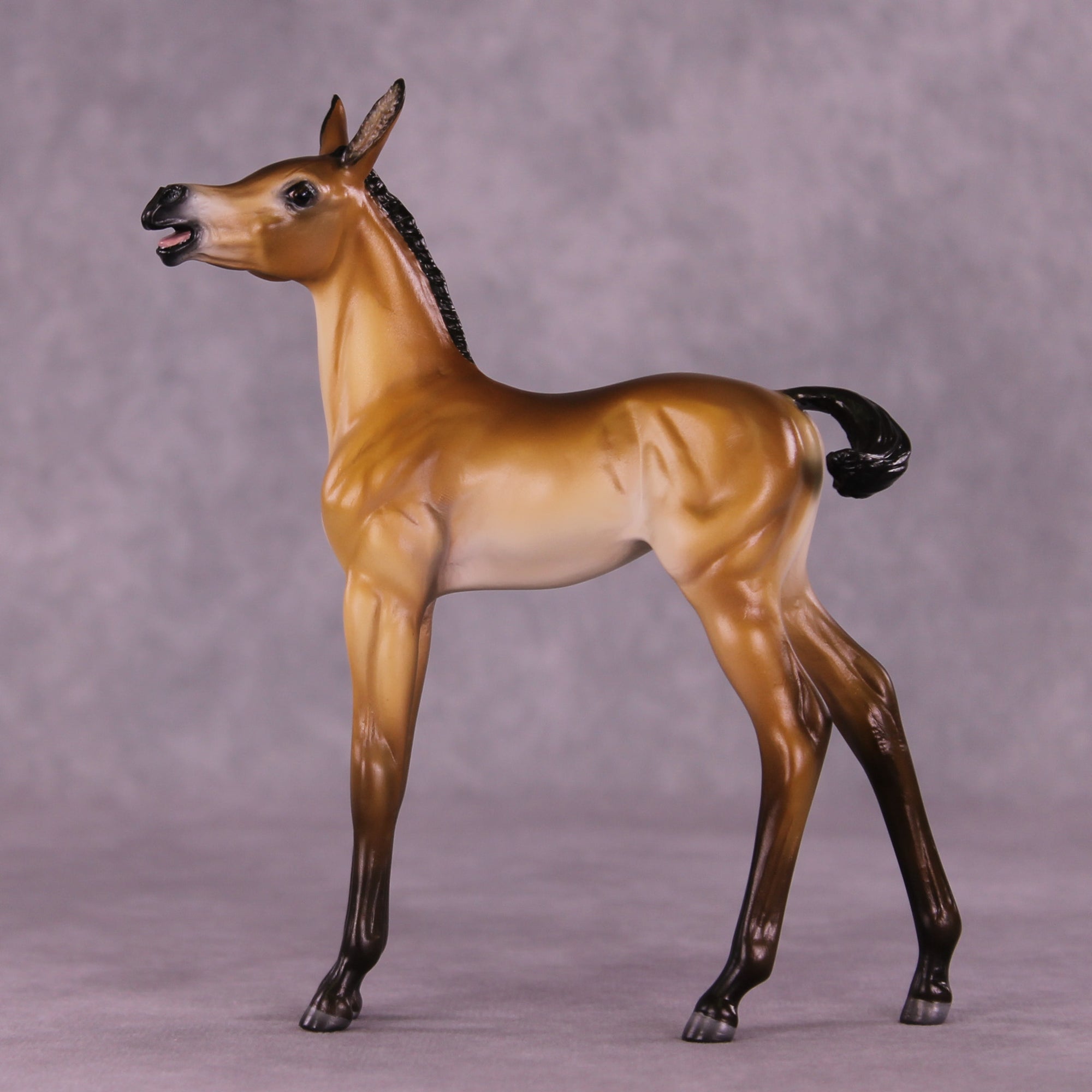 Bray For Me Purdy OOAK EFCM Arabian Foal by Tiffany Purdy SS925