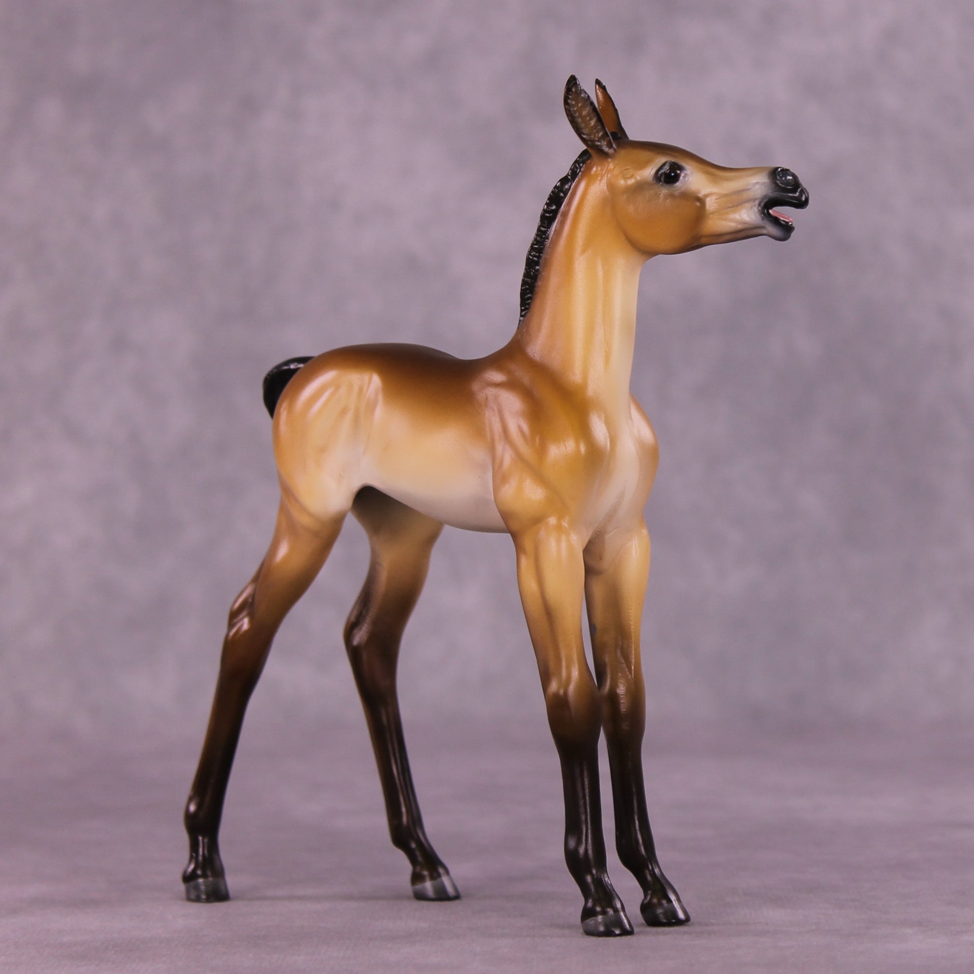 Bray For Me Purdy OOAK EFCM Arabian Foal by Tiffany Purdy SS925