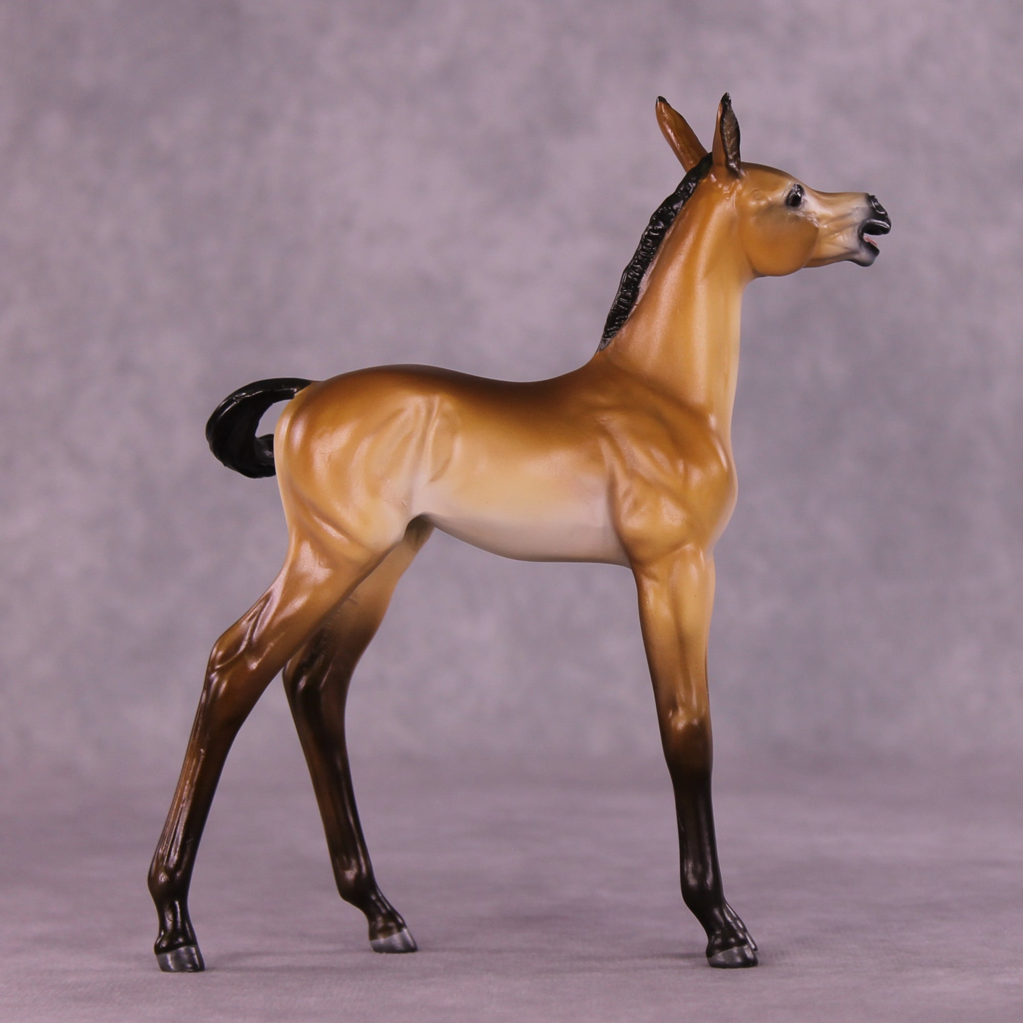 Bray For Me Purdy OOAK EFCM Arabian Foal by Tiffany Purdy SS925