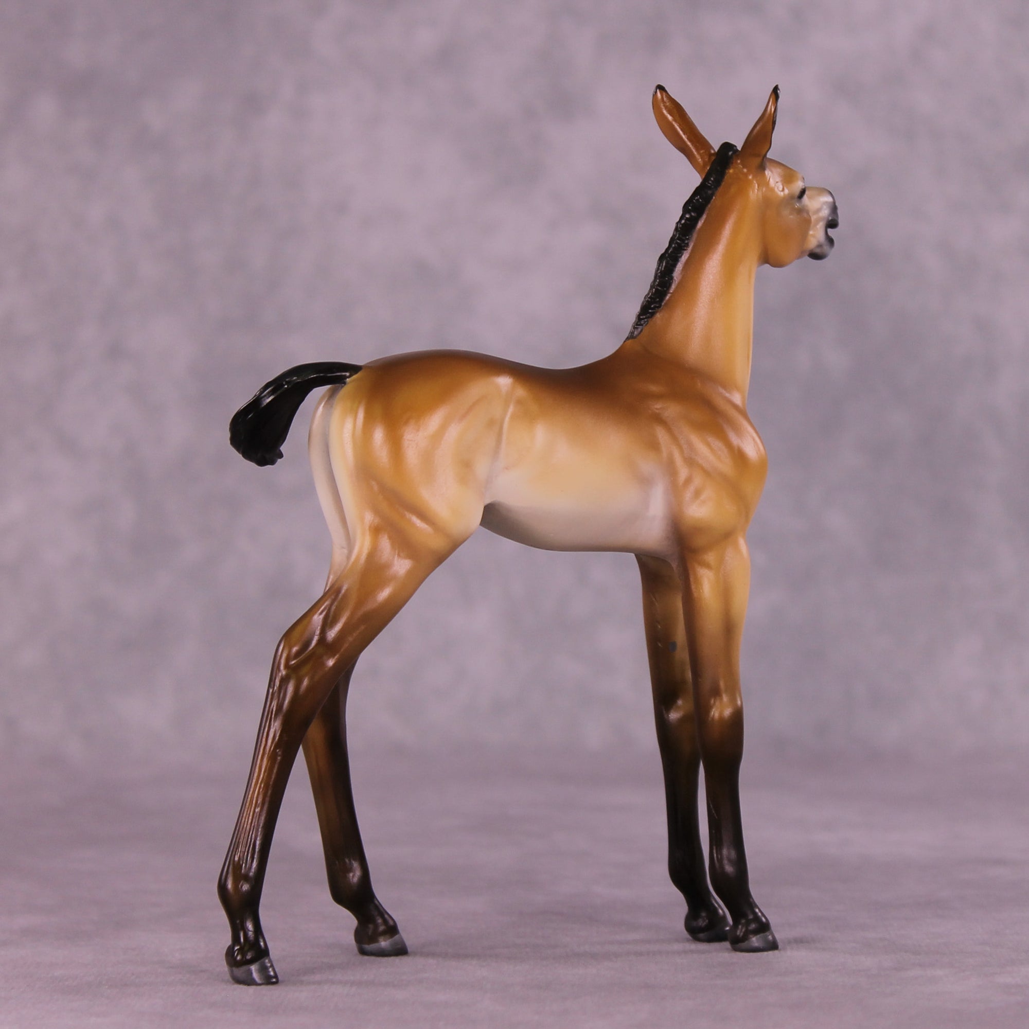 Bray For Me Purdy OOAK EFCM Arabian Foal by Tiffany Purdy SS925