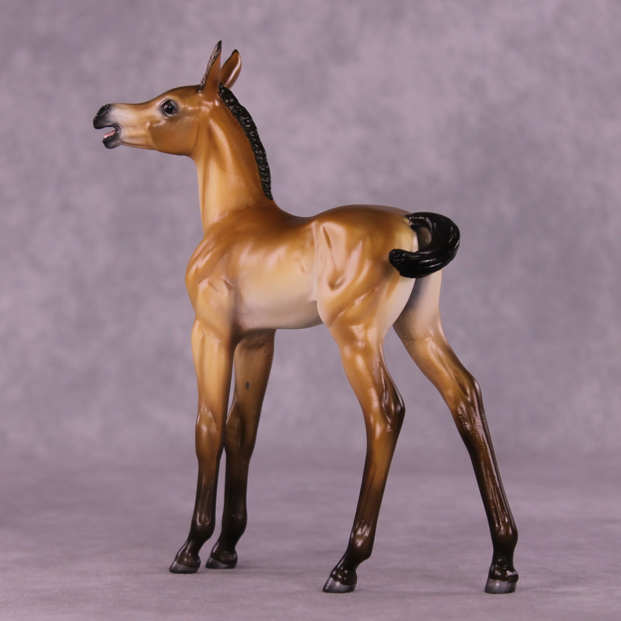 Bray For Me Purdy OOAK EFCM Arabian Foal by Tiffany Purdy SS925