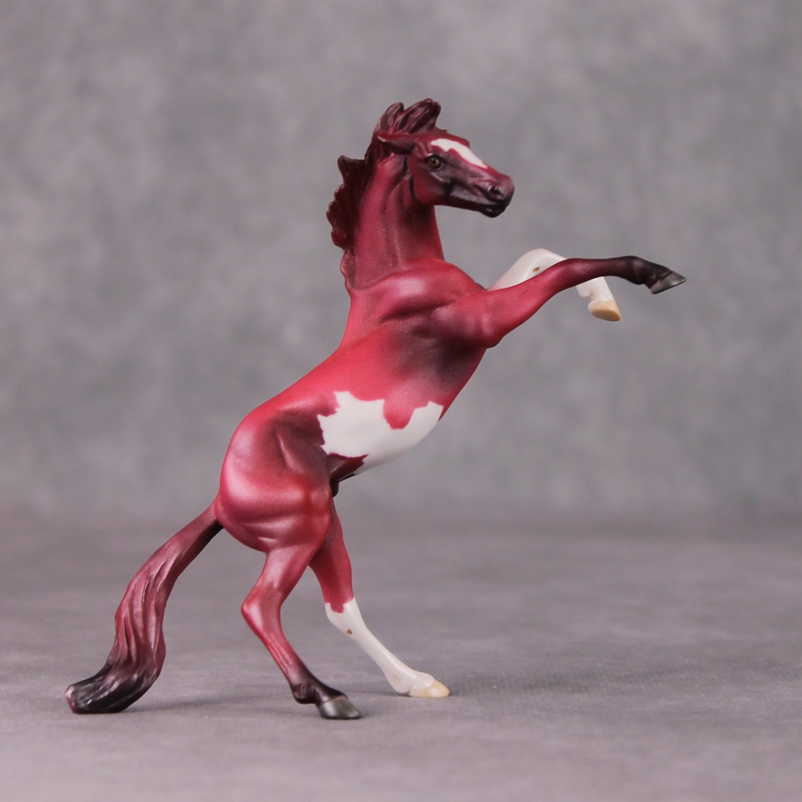 Cranberry OOAK Shaded Red Pinto Deco Rearing Chip by Jamie Adamson HS24
