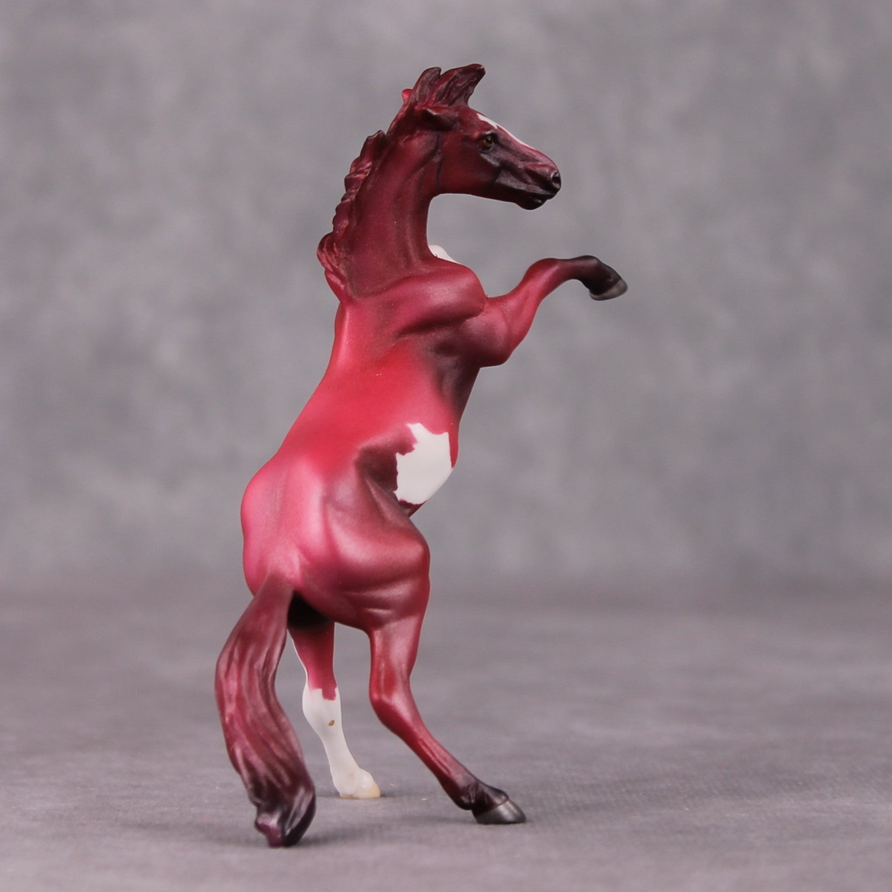 Cranberry OOAK Shaded Red Pinto Deco Rearing Chip by Jamie Adamson HS24