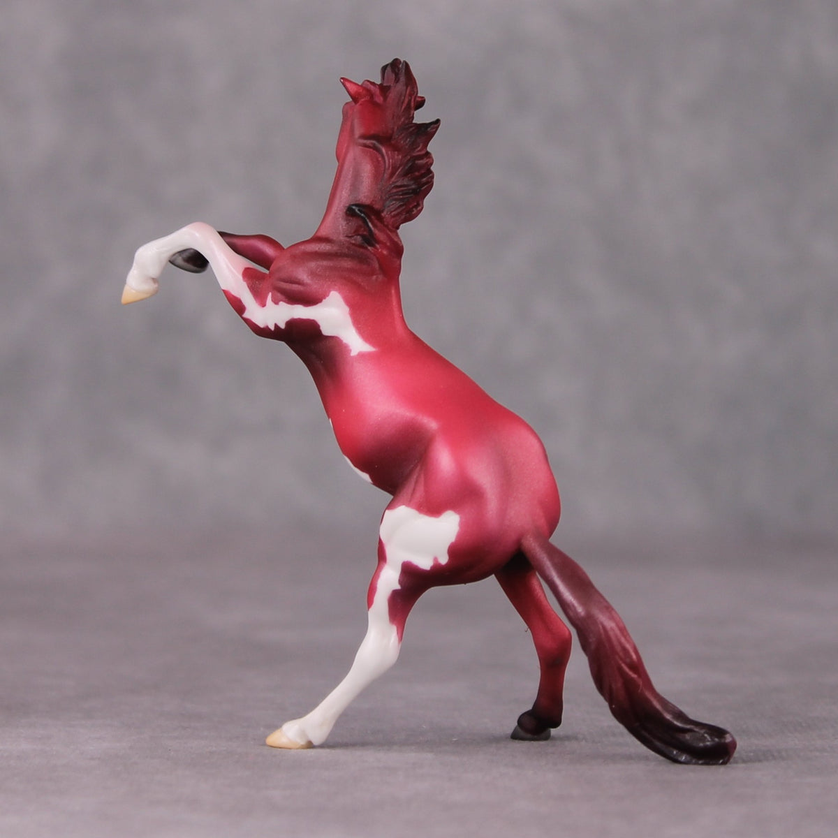 Cranberry OOAK Shaded Red Pinto Deco Rearing Chip by Jamie Adamson HS24