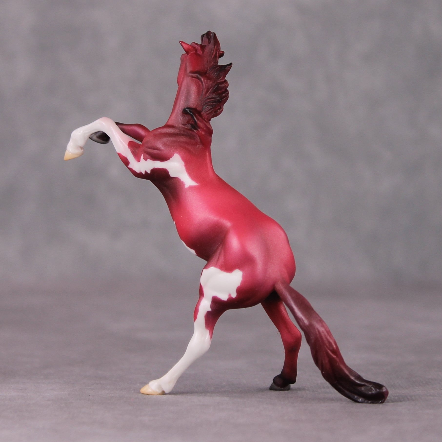 Cranberry OOAK Shaded Red Pinto Deco Rearing Chip by Jamie Adamson HS24