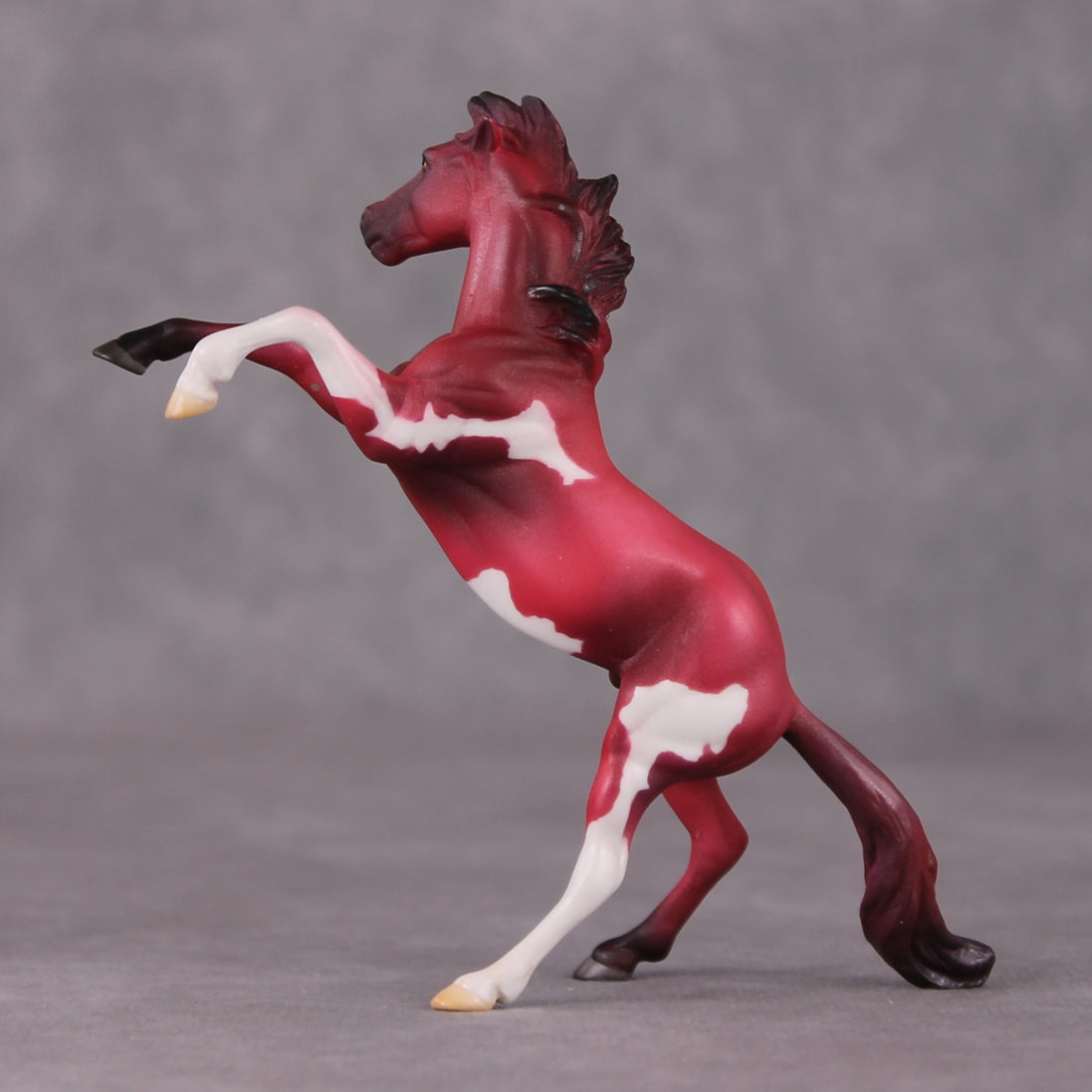 Cranberry OOAK Shaded Red Pinto Deco Rearing Chip by Jamie Adamson HS24