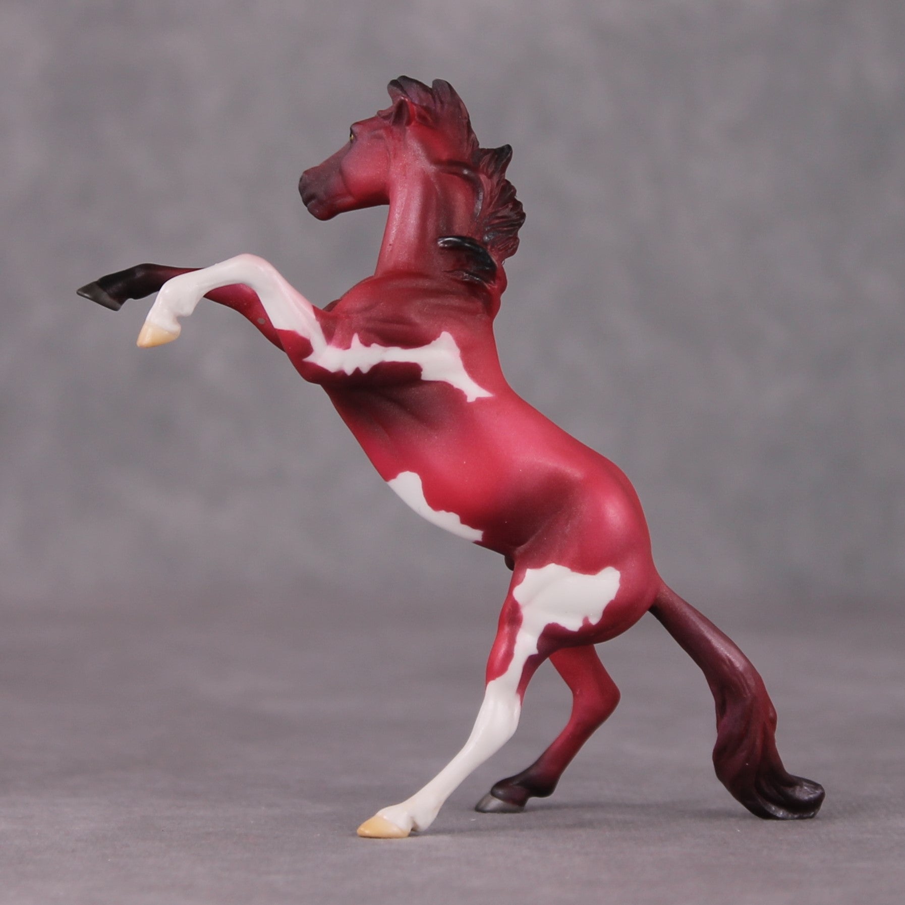 Cranberry OOAK Shaded Red Pinto Deco Rearing Chip by Jamie Adamson HS24