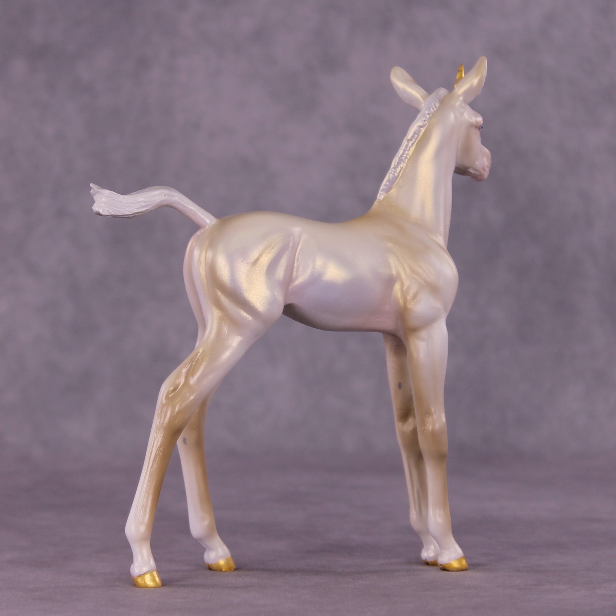 Galandrial OOAK FCM Arabian Foal by Tiffany Purdy GS925