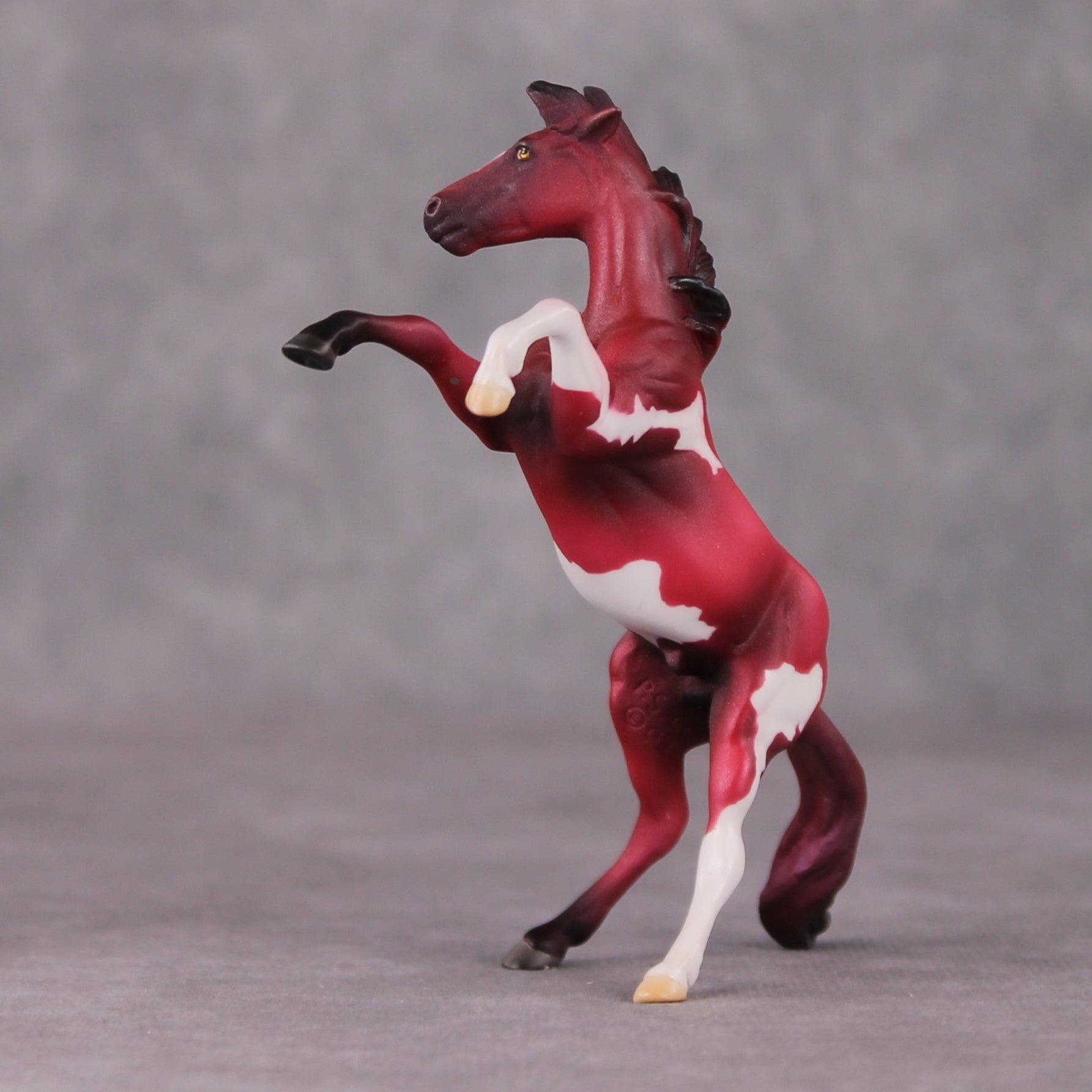 Cranberry OOAK Shaded Red Pinto Deco Rearing Chip by Jamie Adamson HS24